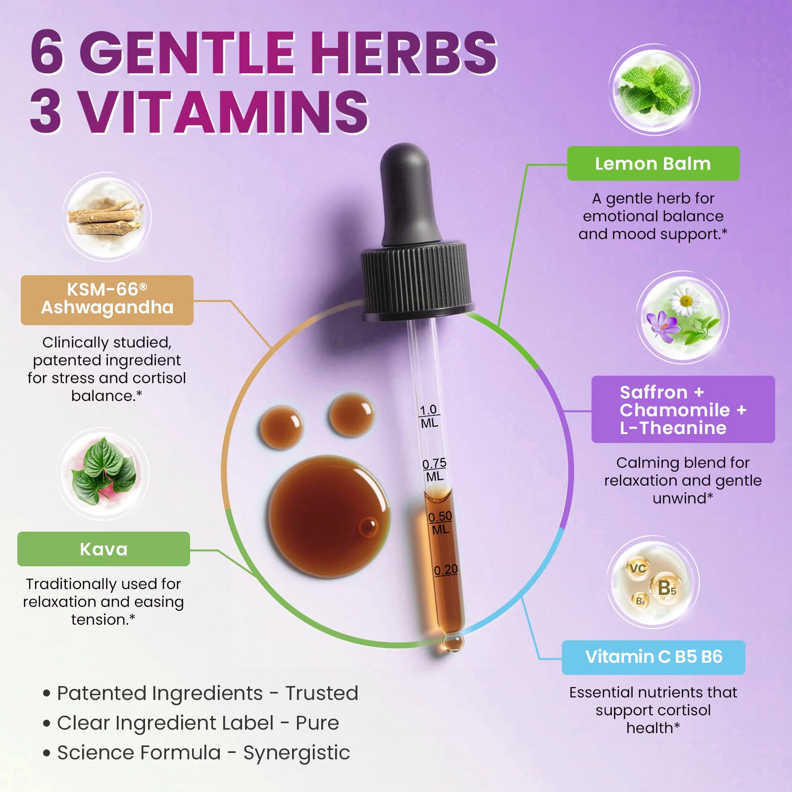 Cortisol Supplements for Women, Cortisol Reducer Manager Detox with KSM-66® Ashwagandha, Kava, Lemon Balm & Vitamin C B5 B6, Lower Cortisol, Hormone Harmony Liquid Drops, 2 FL.OZ, Blueberry Flavor LukareeAu supplements
