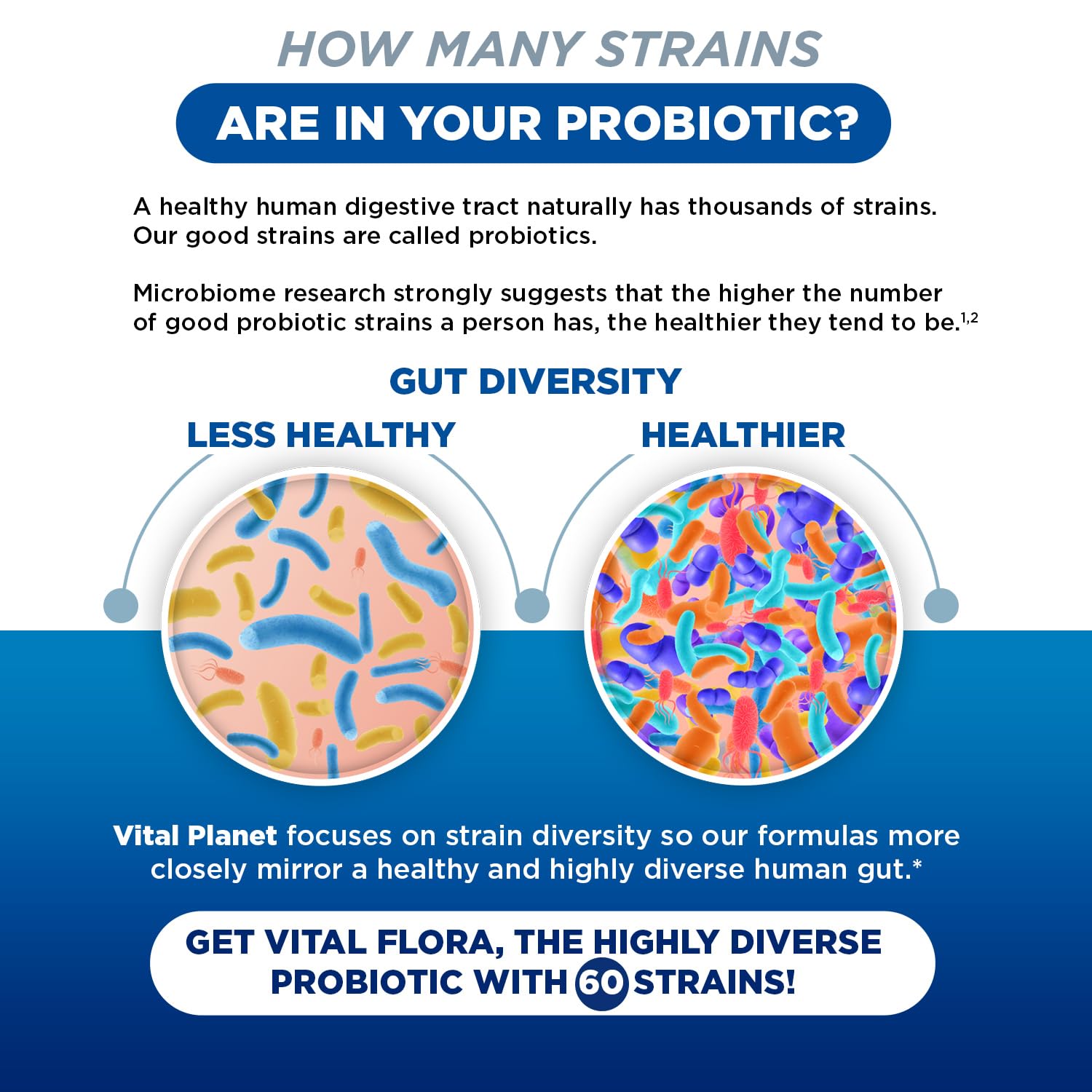 Vital Planet - Vital Flora Women’s Daily Probiotic 60 Billion CFU, 60 Diverse Strains, 7 Organic Prebiotics, Vaginal and Immune Support, Bloating, Digestive Health Probiotics for Women 30 Capsules Vital PlanetAu supplements