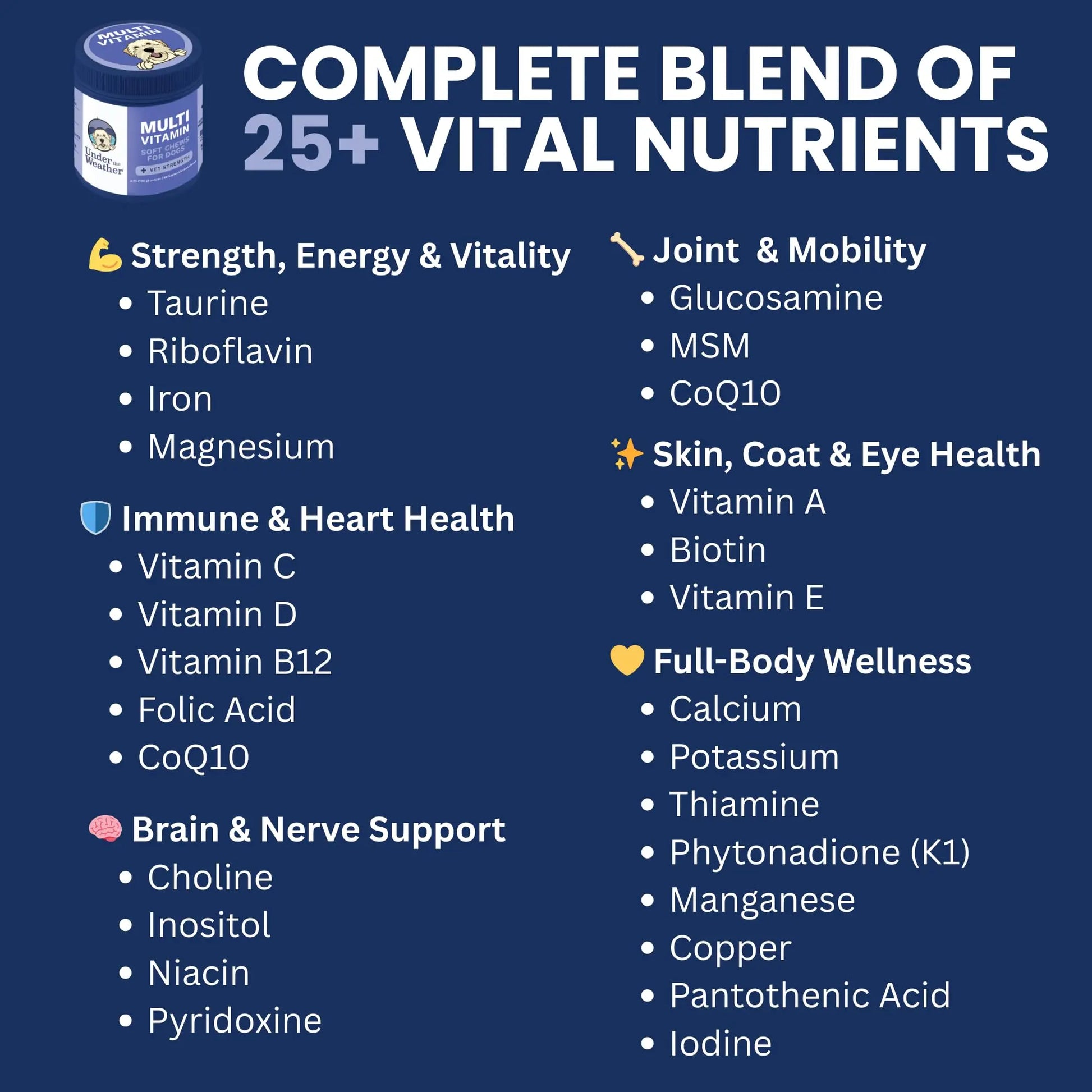 Under the Weather Multivitamin for Dogs | Vet Formulated Daily Canine Health Supplies for Immunity, Skin, Coat & Joint Support | All-in-One Multivitamin for Dogs of All Breeds & Sizes | 60 Count Under the Weathernz supplements