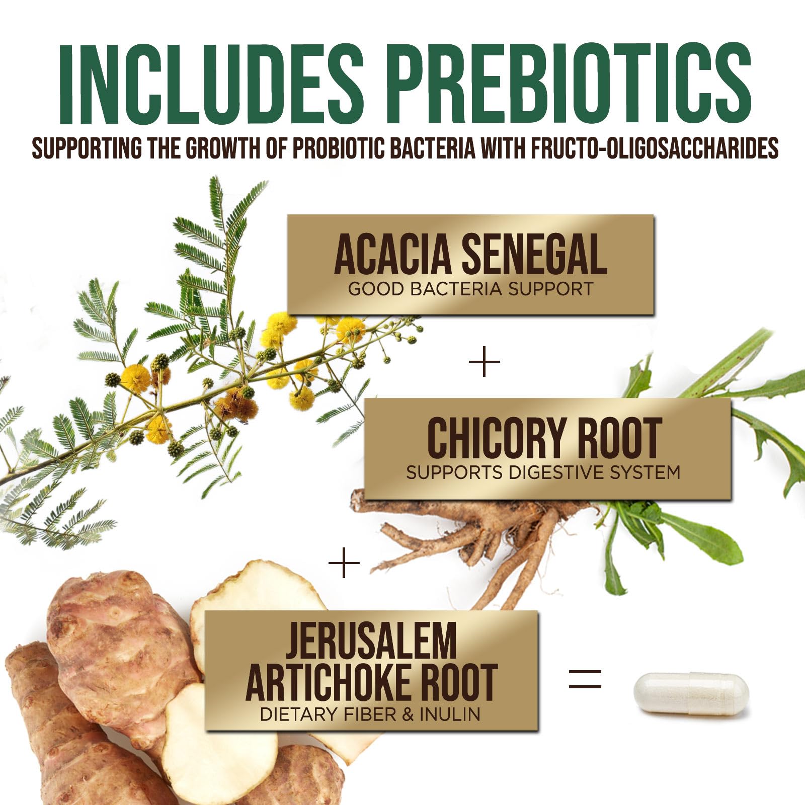Probiotics 50 Billion CFU per Serving - 10 Strains + Prebiotics - Digestive Health, Gut & Immune Support - Occasional Constipation, Gas & Bloating Support for Women & Men, Bottled USA - 60 Capsules Health Nutrition NaturalsAu supplements