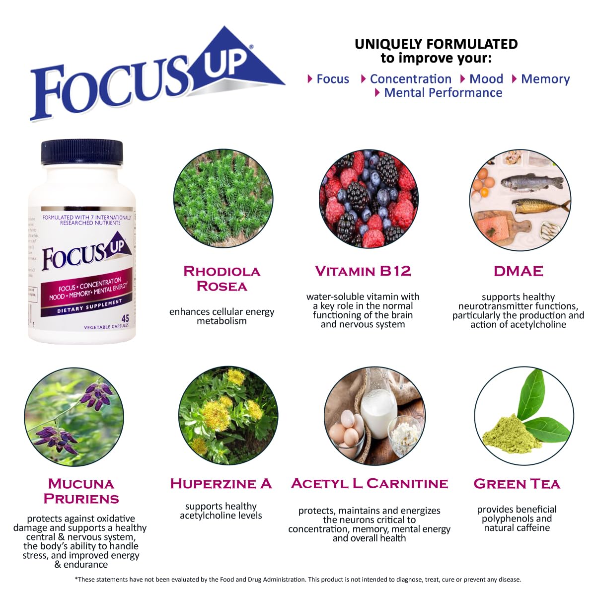 FocusUP Brain & Energy Support Supplement – Natural Nootropic Capsules with Acetyl L-Carnitine, Rhodiola, DMAE & Huperzine-A | Supports Focus, Memory, Mood & Mental Clarity | 45 Sugar-Free Capsules XoomaAu supplements