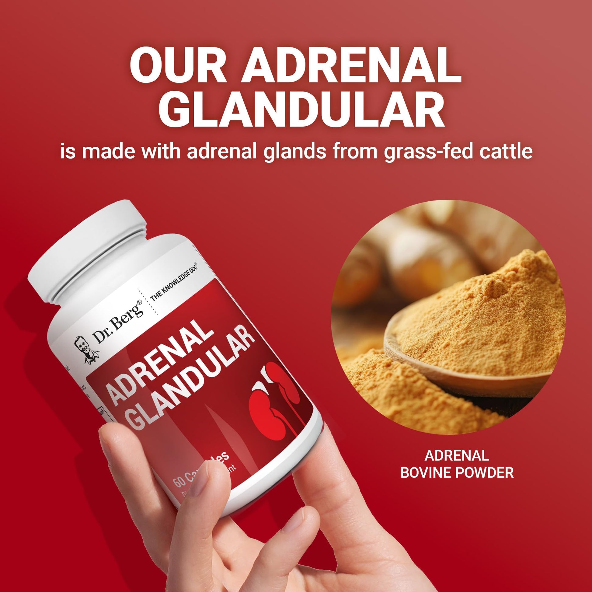 Dr. Berg Adrenal Glandular - Hormone Balance Formula That Supports Healthy Adrenal Function - Adrenal Support Supplement - 60 Capsules Dr. Berg NutritionalsAu supplements