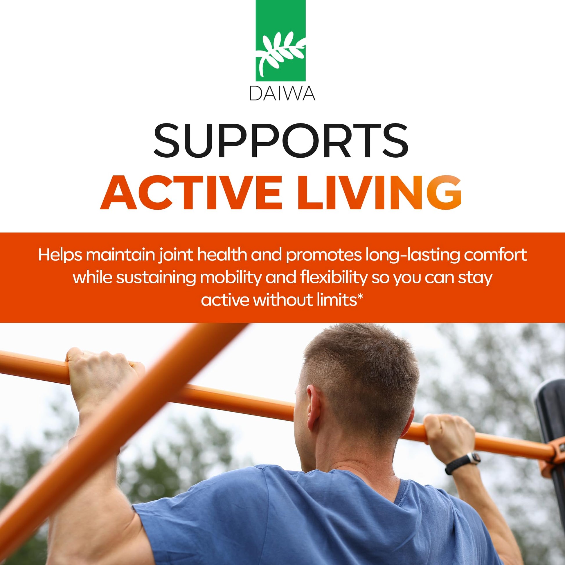 Daiwa Joint Health - Tendon and Ligament Supplements with Chinese Skullcap and Acacia Catechu - Traditional Plant-Based Formula for Active Lifestyles - Non-GMO, 30 Vegetarian Capsules Daiwa Health DevelopmentAu supplements