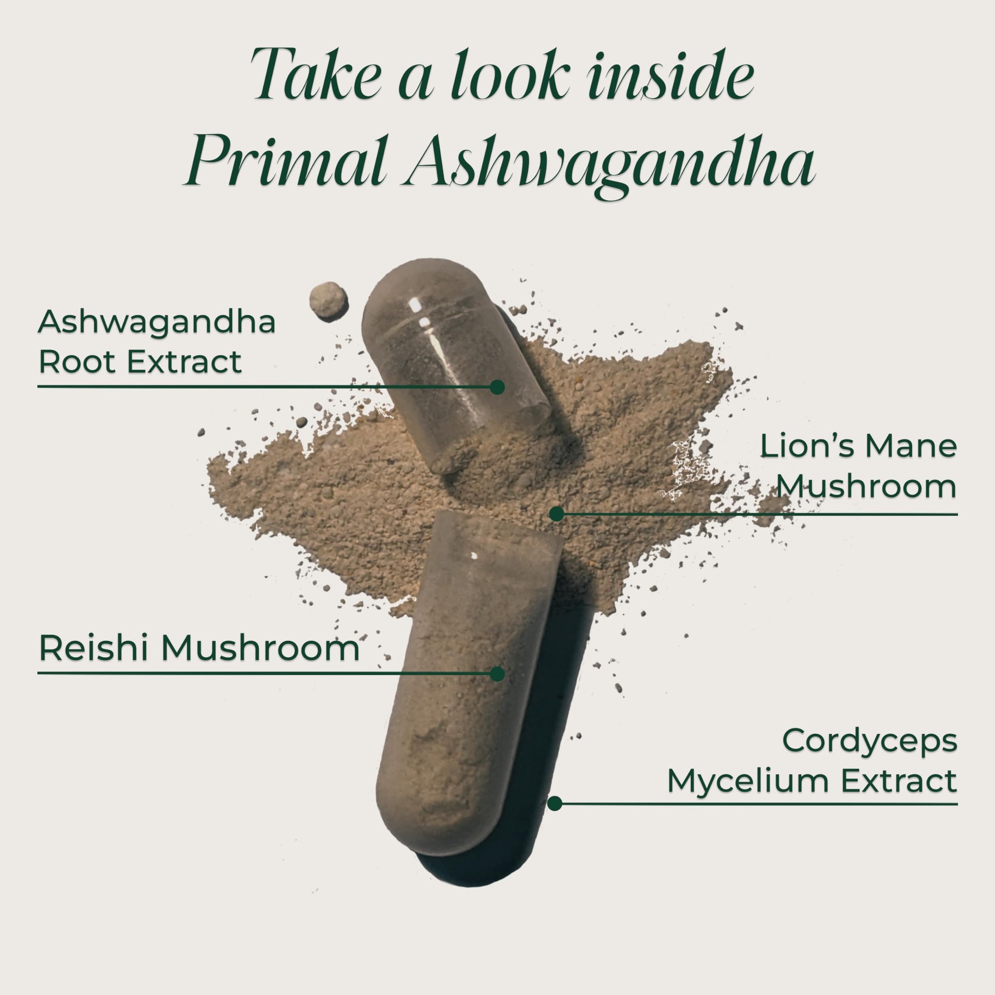 Primal Harvest Ashwagandha Supplement with 5 Mushroom Extracts: Lion’s Mane, Reishi, Cordyceps, Turkey Tail & Maitake for Immune Support & Cognitive Health Primal HarvestAu supplements