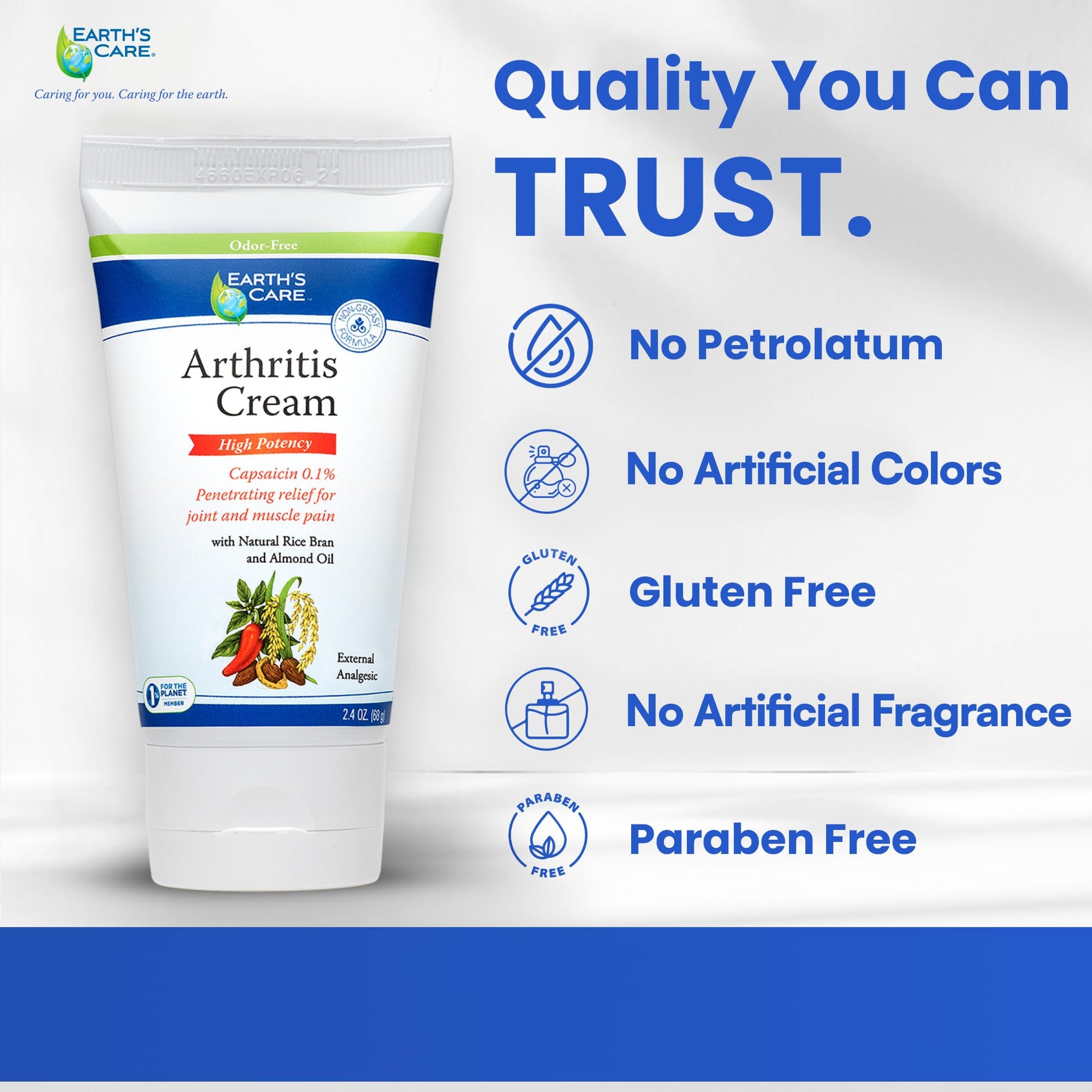 Earth's Care Arthritis Cream - Joint Cream with Natural Capsaicin - Topical Analgesic 2.4 OZ (Pack of 2) Earth's CareAu supplements