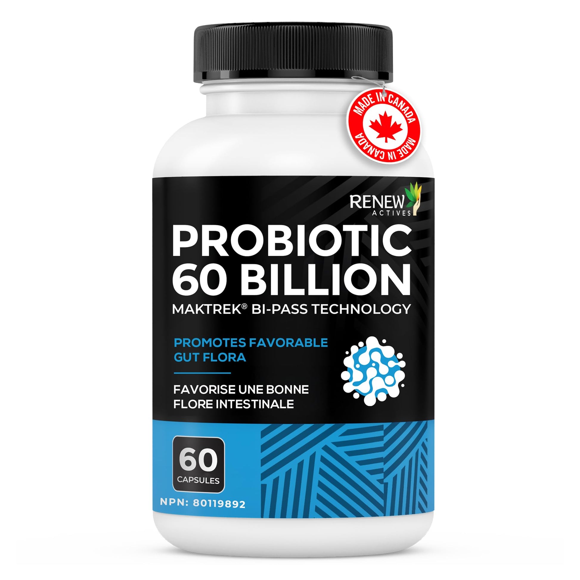 Renew Actives Probiotic Supplement for Digestive Health 60 Billion CFU per 2 Capsules - Advanced Formula with Prebiotic Benefits - Supports Gut Flora Balance & Wellness - Made in Canada - 60 Capsules Renew ActivesAu supplements