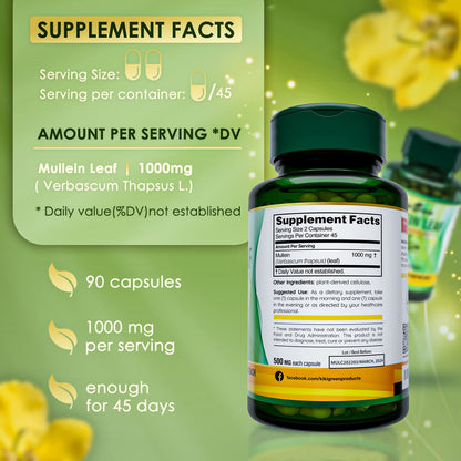 KIKI Green Mullein Leaf Extract Capsules - Herbal Respiratory Supplement - for Lung Cleans KIKI GreenUS supplements