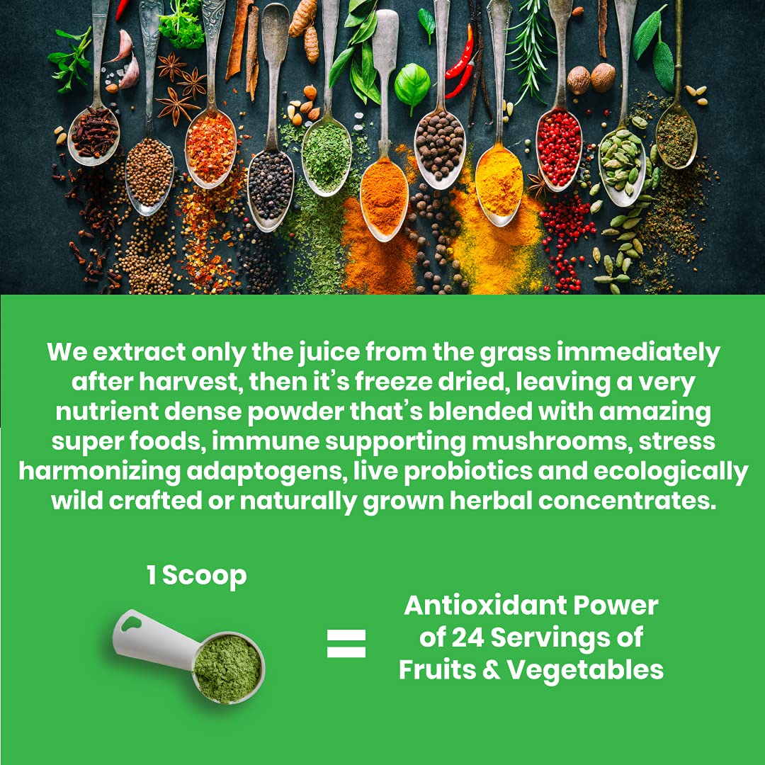 Paradise ORAC Energy Greens Powder Extract, Super Antioxidants, Probiotics for Gut Paradise HerbsAu supplements