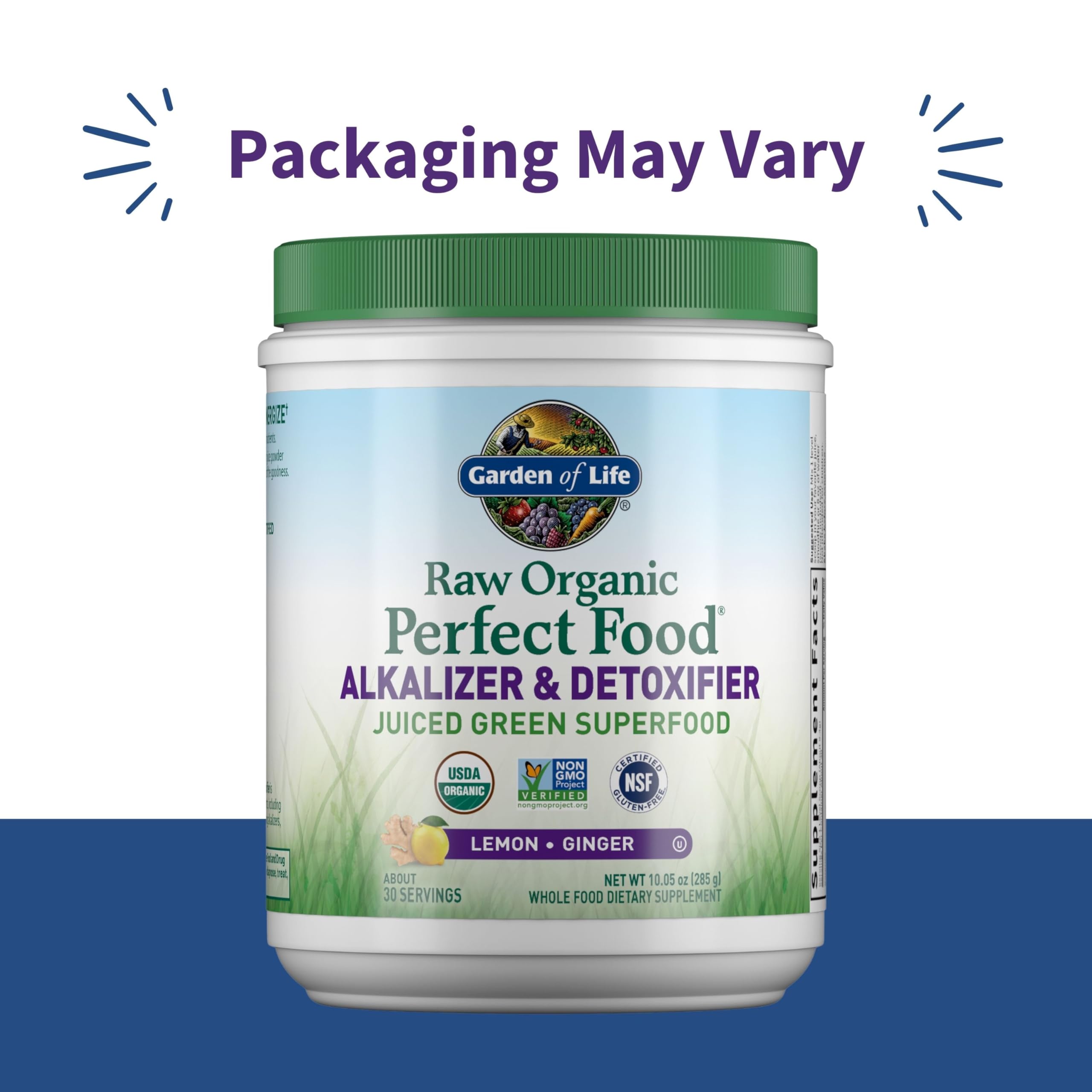 Garden of Life Raw Organic Perfect Food Alkalizer and Detoxifier, Lemon Ginger Flavored Superfood Powder Supplement, 30 Servings Garden of LifeAu supplements