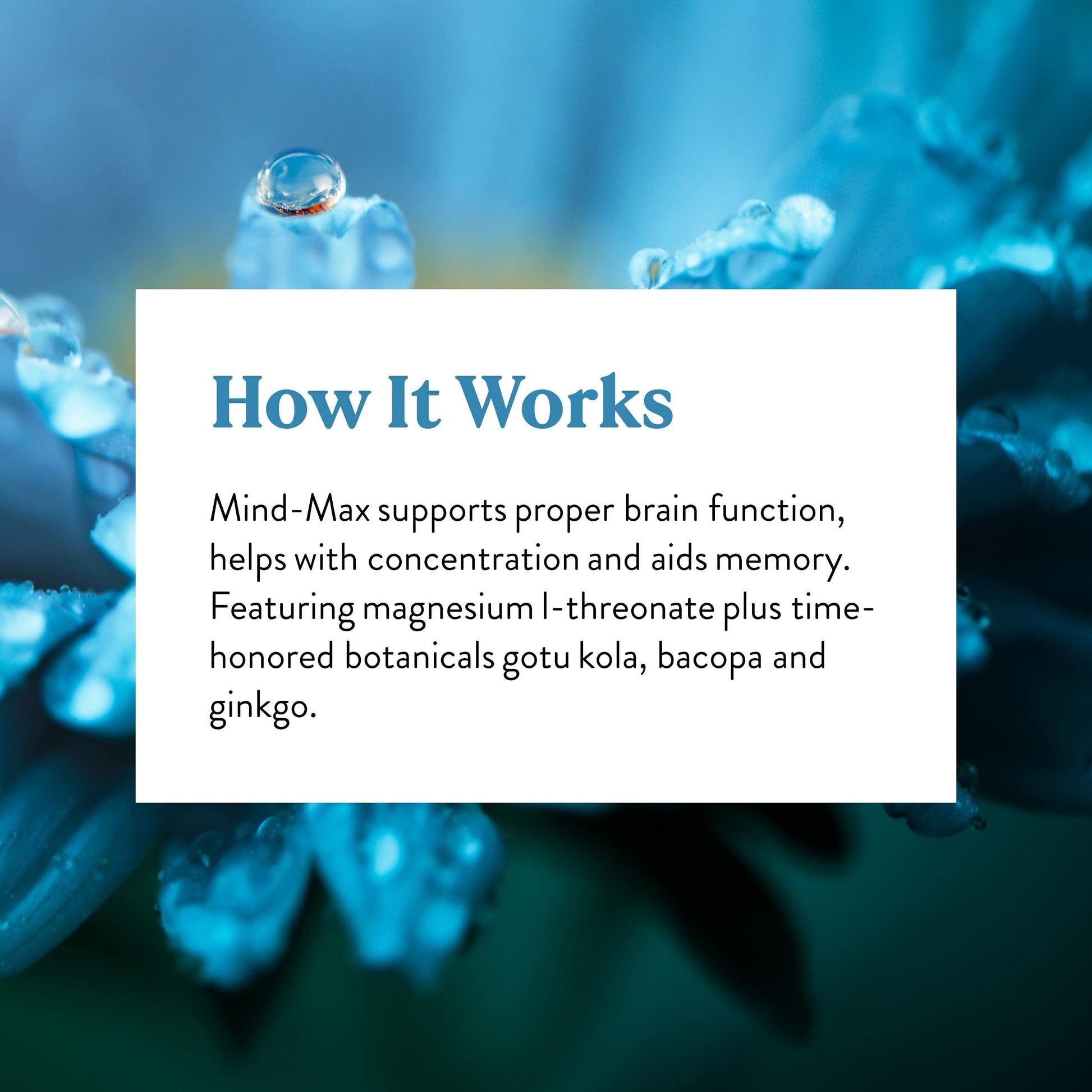 Nature's Sunshine Mind-Max 90 Capsules Nature's SunshineAu supplements