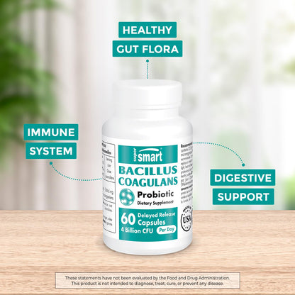 Supersmart - Bacillus Coagulans Probiotic 4 Billion CFU per Day (High Absorption) SupersmartUS supplements