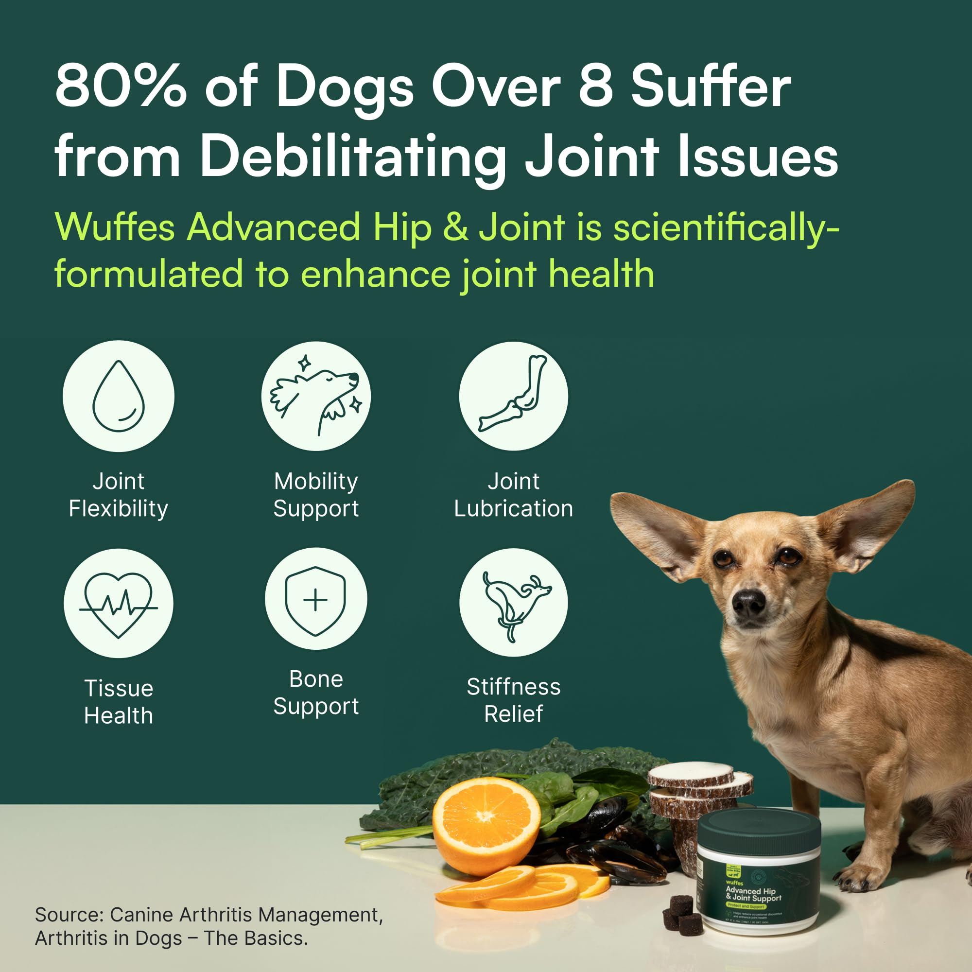 Wuffes Advanced Dog Hip and Joint Supplement with Glucosamine, Chondroitin, Omega 3, MSM, and Green Lipped Mussel, 60 Pork Flavored Chews for Small and Medium Dog Breeds WuffesAu supplements