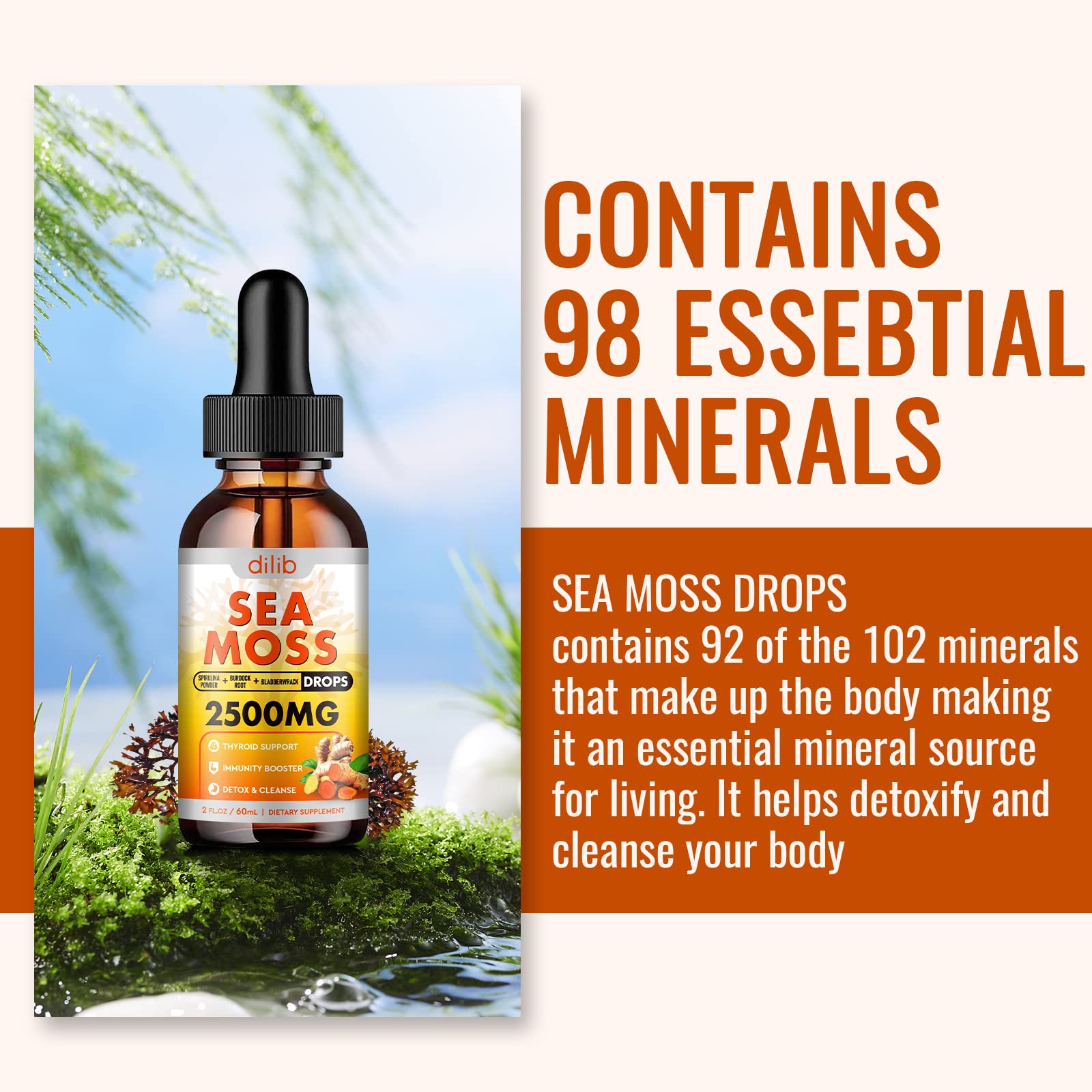 Sea Moss Liquid Drops: Organic Irish Sea Moss 2500mg with Turmeric, Bladderwrack dilibUS supplements