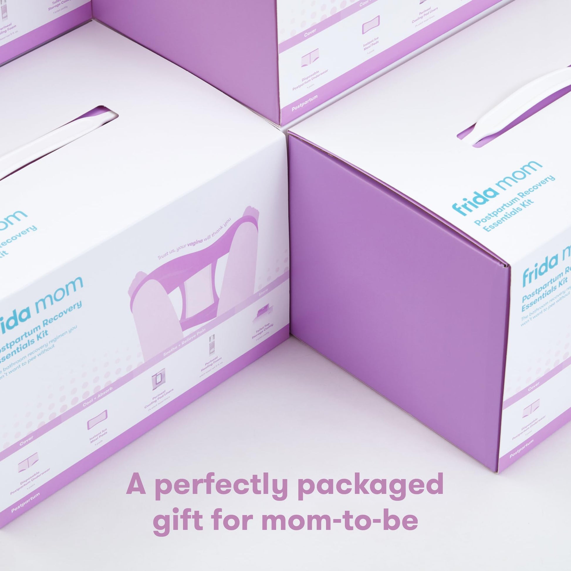 Frida Mom Postpartum Recovery Essentials Kit, New Mom Gifts, Cooling Pad Liners, Ice Maxi Pads Frida MomAu supplements