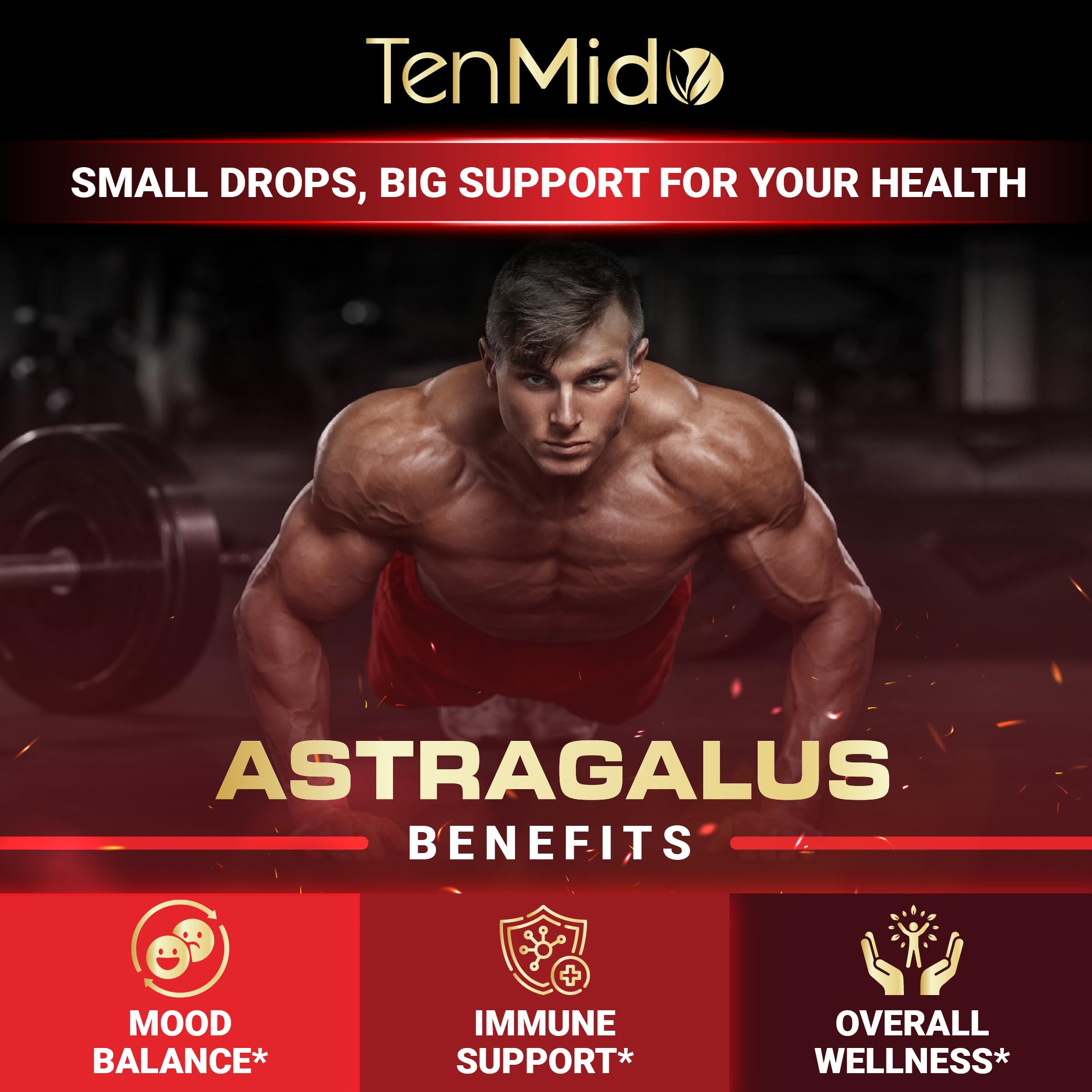 Tenmido 6-in-1 Astragalus Root Tincture - Herbal Extract Supplements with Quercetin, Rhodiola Rosea, Vitamin D3, Vitamin C, and Zinc - Vegan, Non-GMO - 30ml 1 Fl Oz TenmidoAu supplements