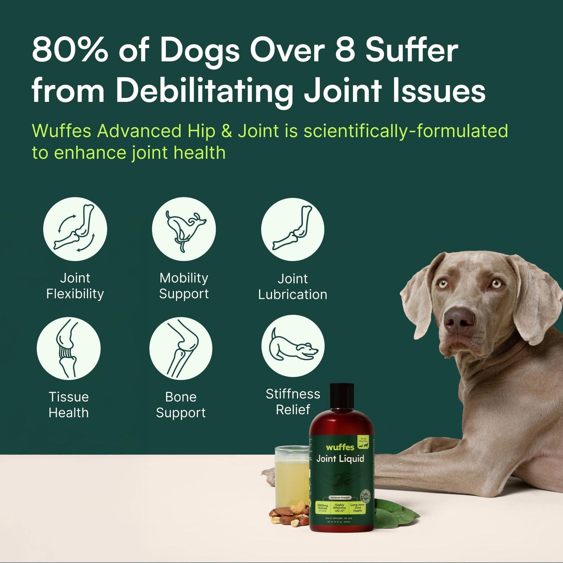 Wuffes Advanced Joint Liquid for Dogs, Hip & Joint Support Supplement with Glucosamine, Chondroitin, UC-II® Collagen, and MSM, for Small & Large Breeds, 16 Oz WuffesAu supplements