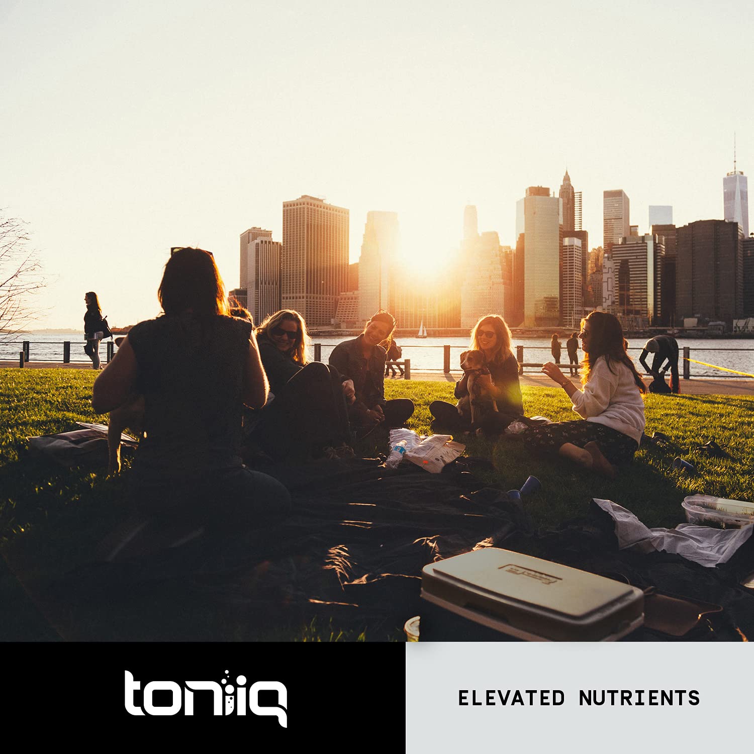 Toniiq Ultra High Strength Berberine HCl 500mg from The Himalayas - Berberine Suppleme ToniiqUS supplements