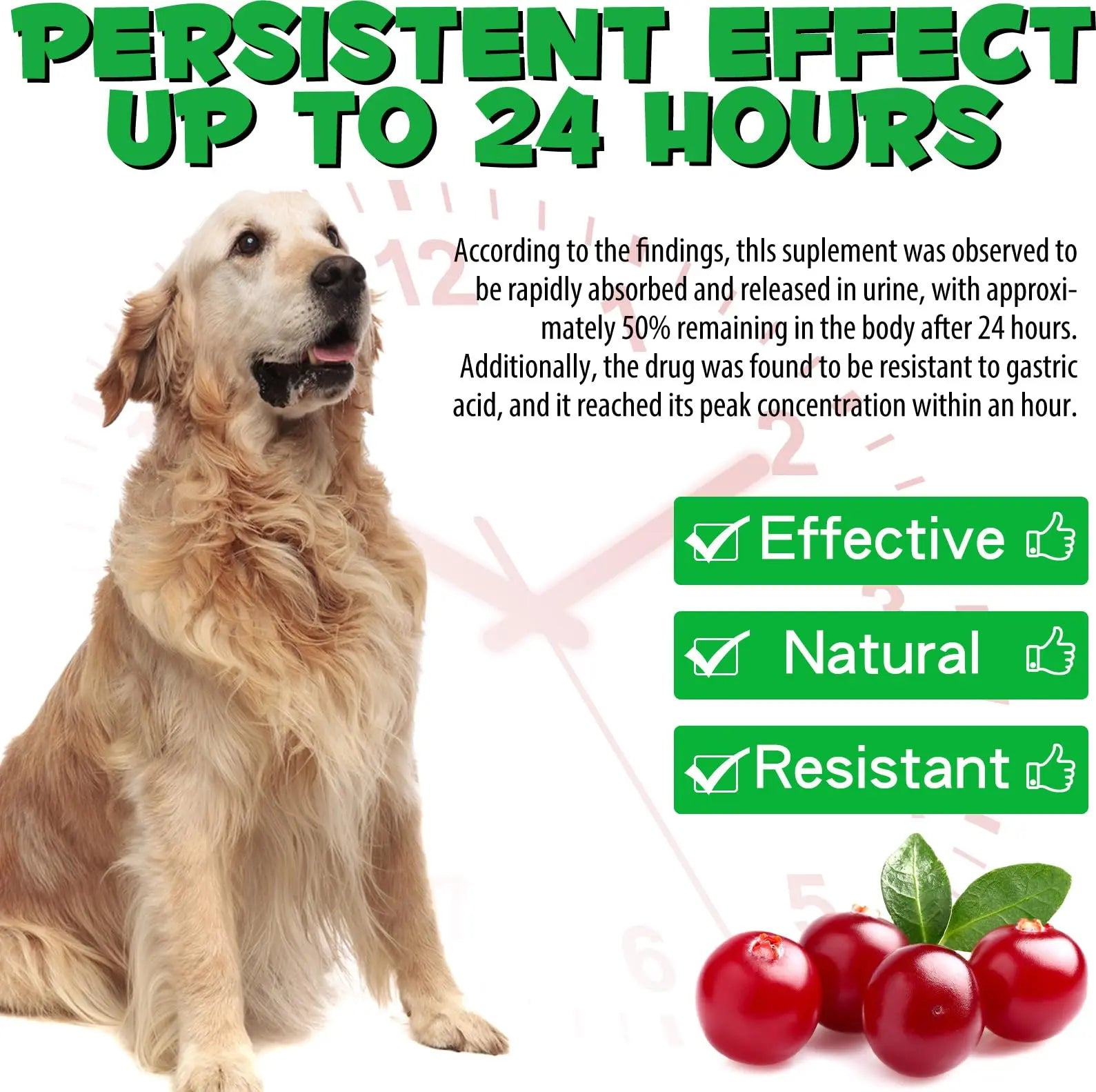 Dog UTI Treatment - Urinary Tract Infection Treatments, Kidney+Bladder Support Supplement, Natural Cranberry Extract for Dogs, Supports Urinary and Digestive Health (2 Fl Oz (Pack of 2)) OnznozAu supplements