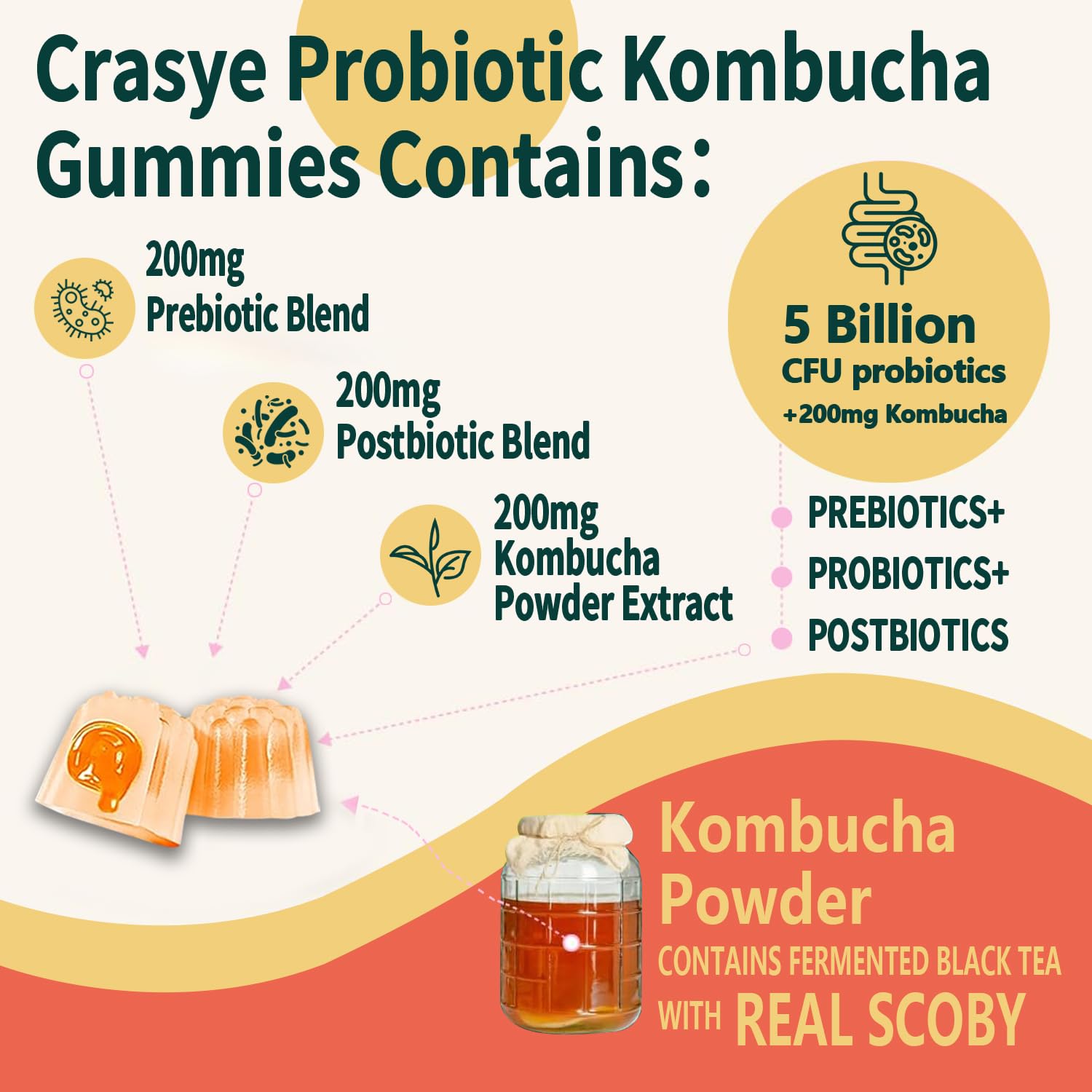 Crasye Probiotic Kombucha Gummies Sugar Free Prebiotic Postbiotic Probiotics Gummy for Women and Men Bloating Gut Health Immune and Digestive Support - 60 Gummies - 30 Servings CrasyeAu supplements