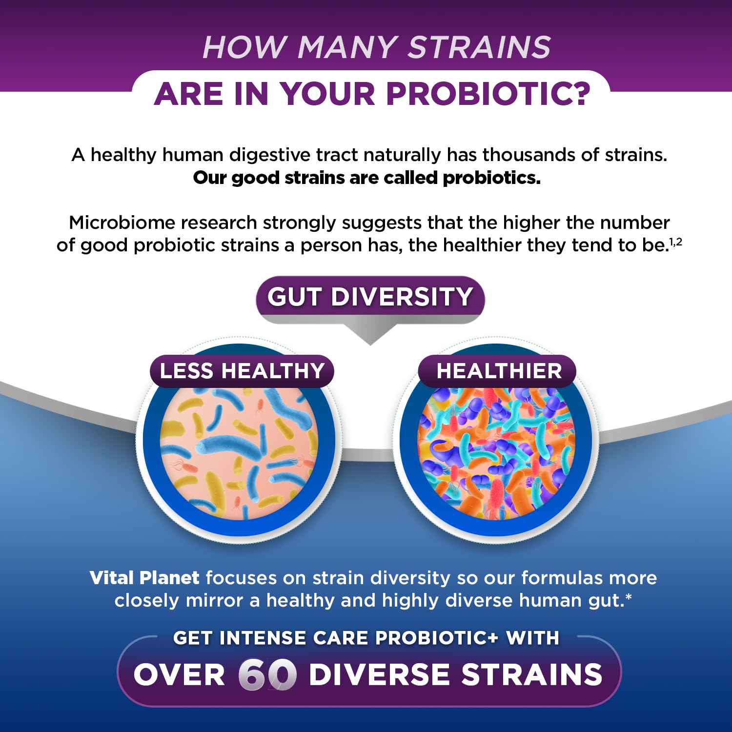 Vital Planet - Intense Care Brain & Mood Probiotics, Organic Prebiotics, Postbiotics, Parabiotics, Complete 4-in-1 Health Supplement for Adults, 65 Billion CFU, 67 Strains, Digestive and Immune 30 ct Vital PlanetAu supplements