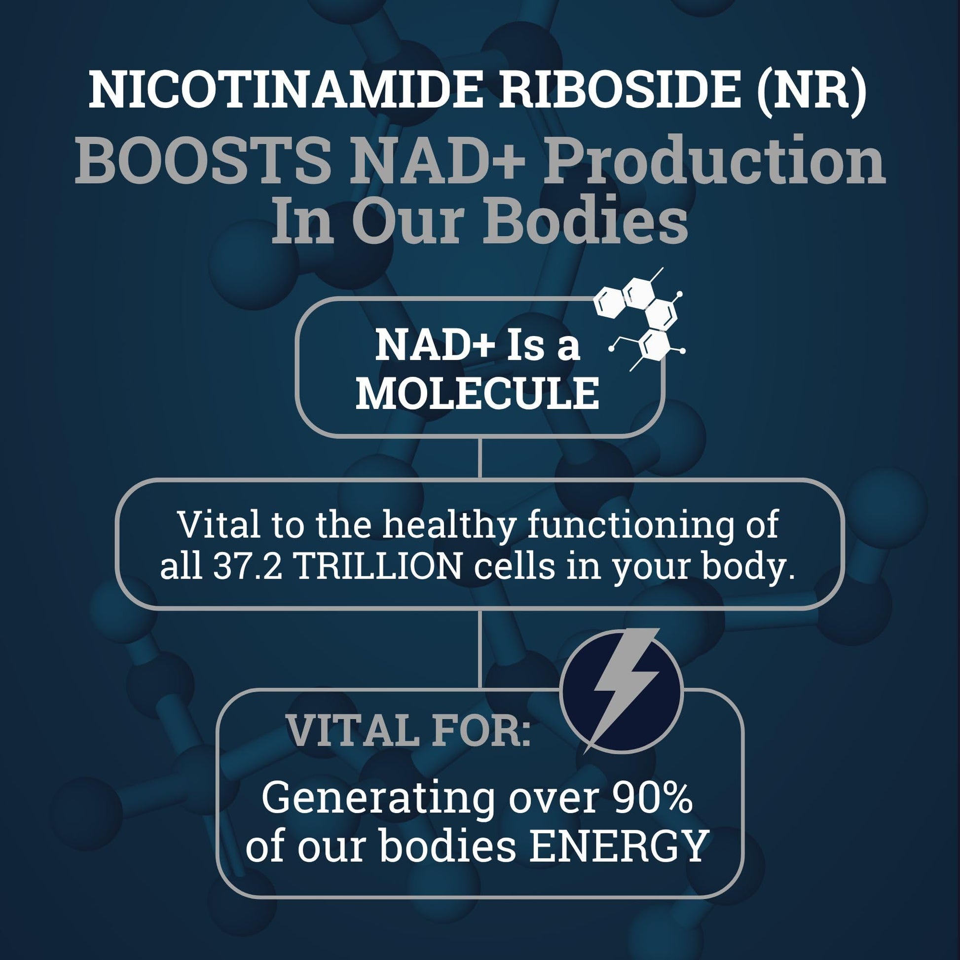 Black Forest NAD Nicotinamide Riboside 900 mg (Liposomal Nicotinamide Riboside 900mg Resveratrol, Quercetin 500mg & 150mg of NAD Resveratrol Supplement) 1550 MGS NR Supplement 900mg NAD+ Black ForestAu supplements