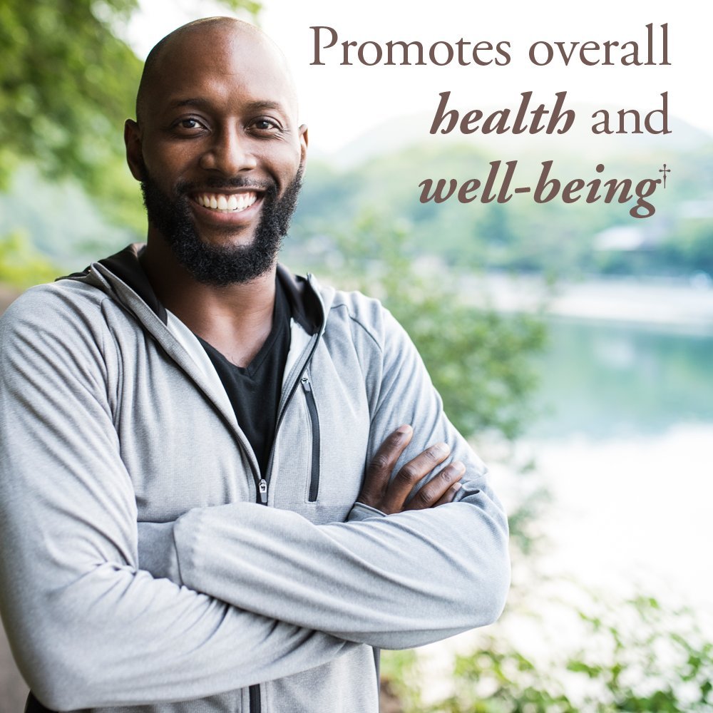 Garden of Life Organics Whole Food Multivitamin for Men 40+ 120 Tablets, Vegan Mens Multi for Health Garden of LifeAu supplements