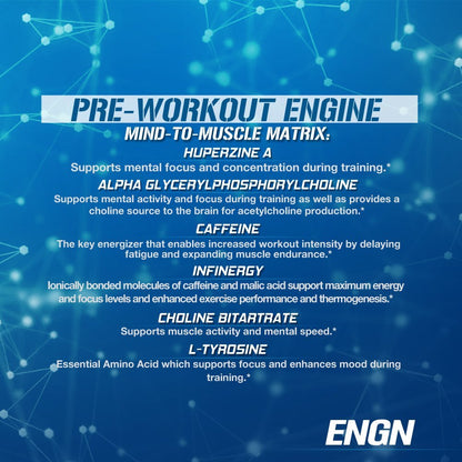 EVL Intense Pre Workout with Creatine - Pre Workout Powder Drink for Lasting Energy Focus EvlutionUS supplements