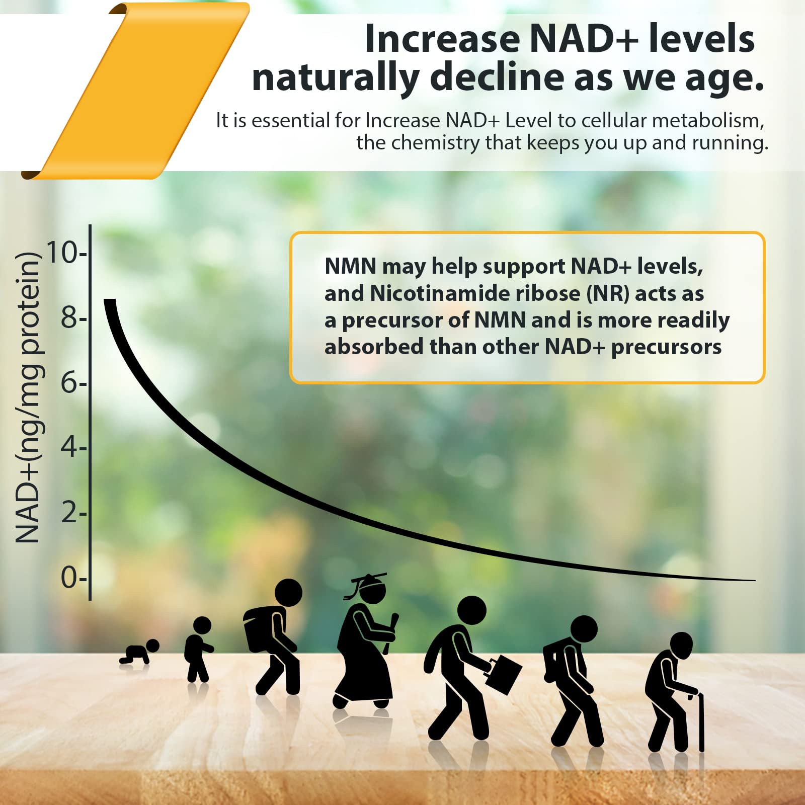 Liposomal Nicotinamide Riboside 2000 MG with TMG and Pterostilbene, Similar to NMN Supplements Boost NAD+, Support Healthy Aging, 240 Count OrgabayAu supplements