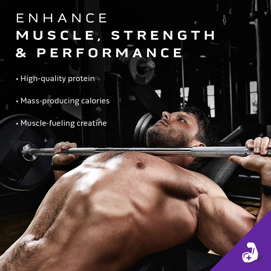 Mass Gainer MuscleTech 100% Mass Gainer Protein Powder Protein Powder for Muscle MuscleTechUS supplements