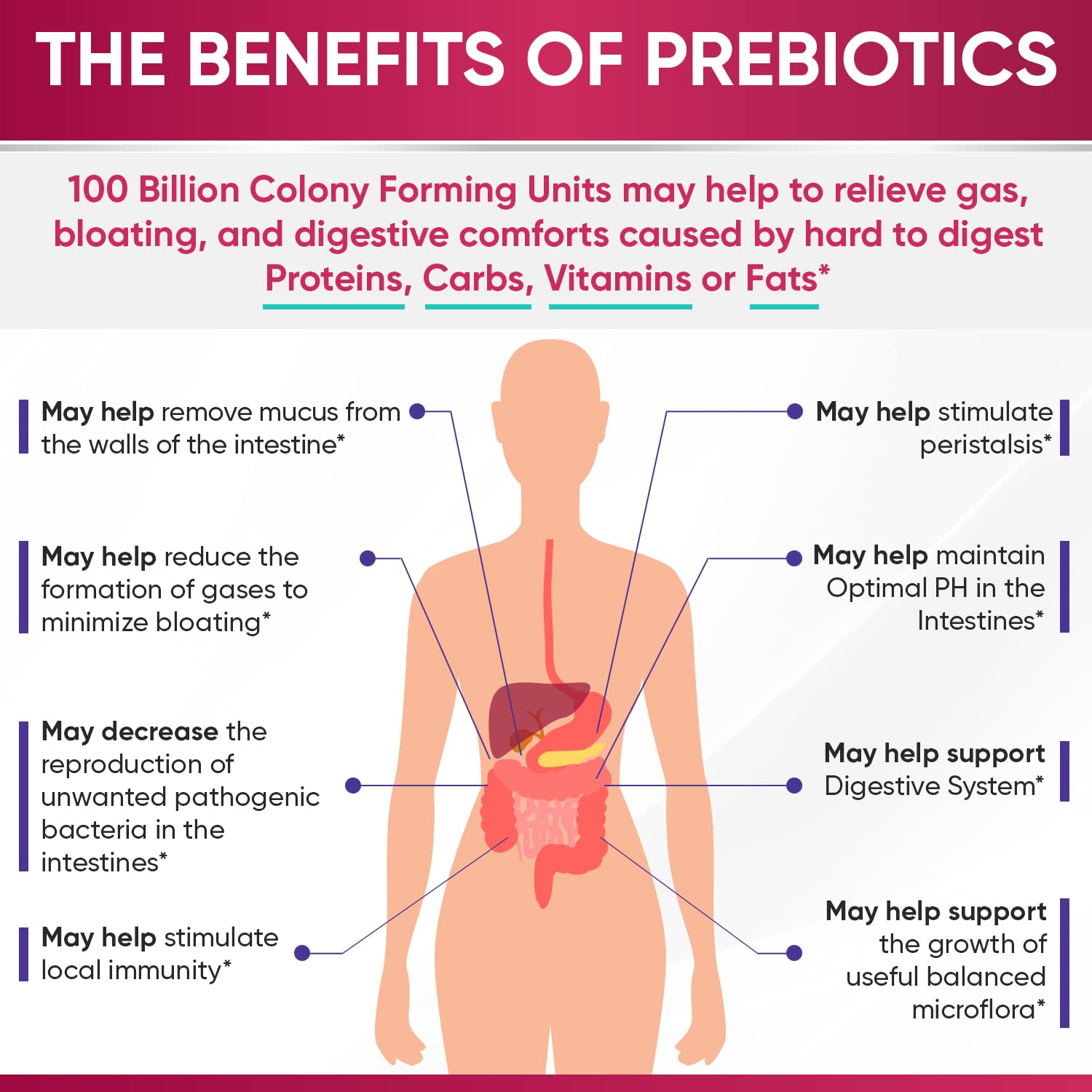 Wholesome Wellness Dr. Formulated Raw Probiotics for Women 100 Billion CFUs Capsules with Prebiotics, Digestive Enzymes