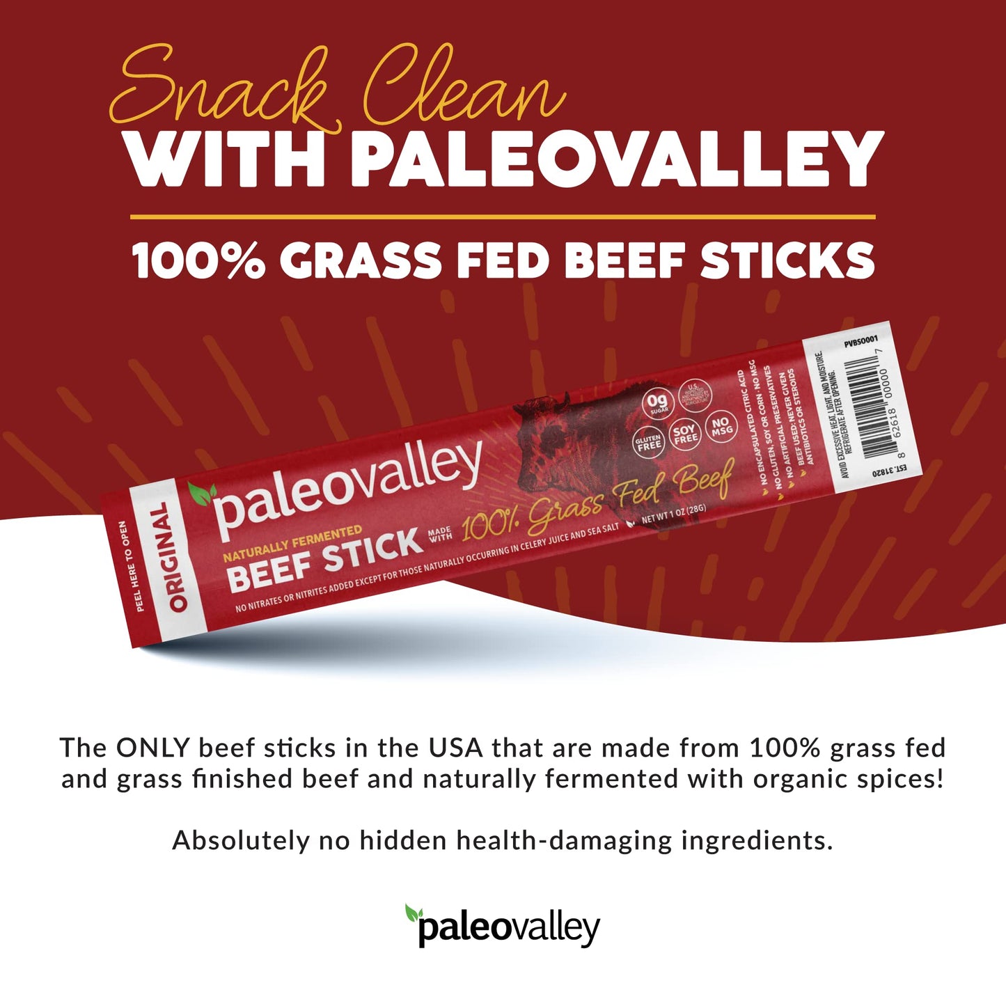 Paleovalley 100% Grass Fed Original Beef Sticks - Delicious Gluten Free Beef Snack - High Protein Keto Friendly PaleovalleyUS supplements