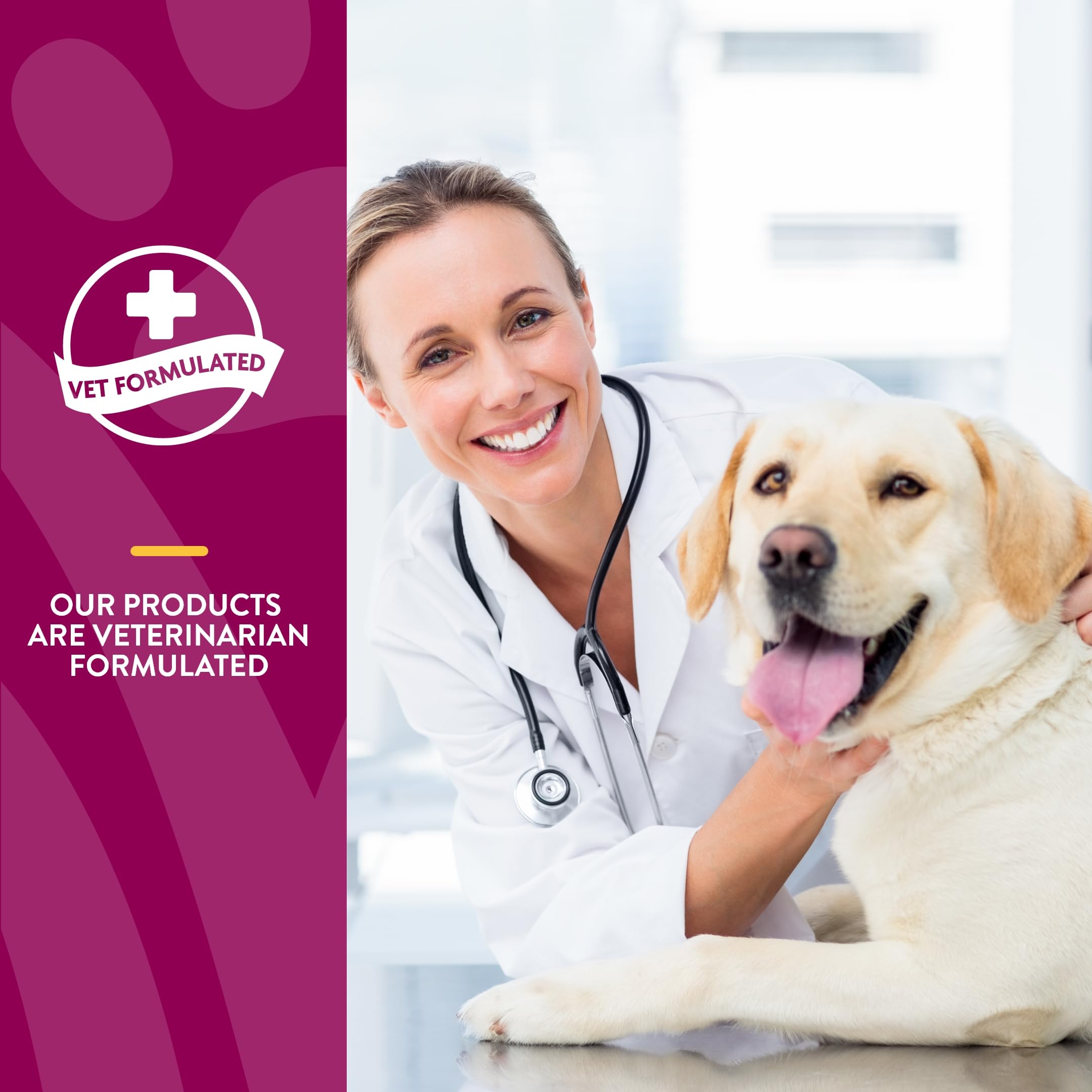 NaturVet – Glucosamine DS Plus - Level 2 Moderate Care – Supports Healthy Hip & Joint Function – Enhanced with Glucosamine, MSM & Chondroitin – for Dogs & Cats–120 Soft Chews NaturVetAu supplements