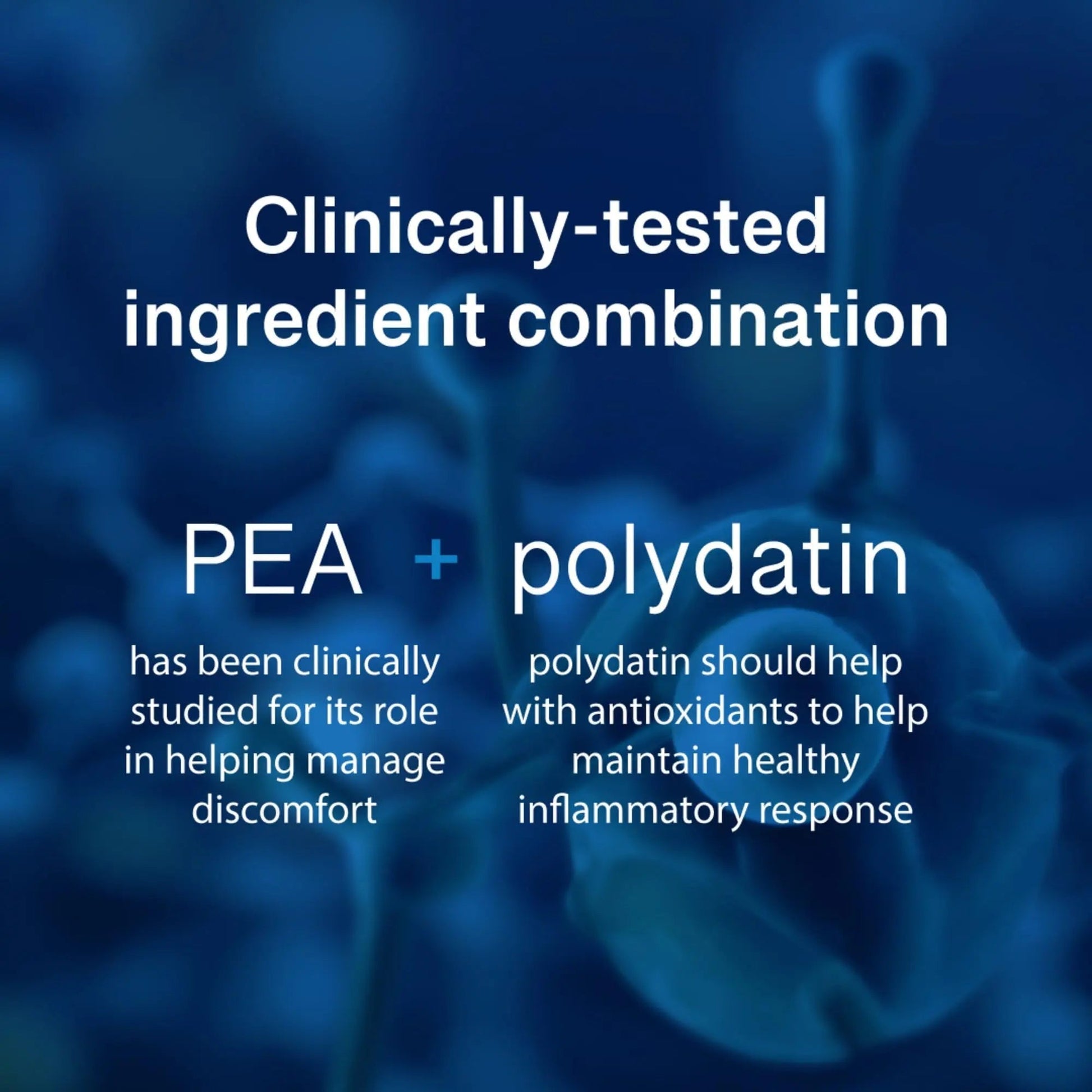 PEAlief Pea + Polydatin – New Bladder & Urinary Comfort Support with Clinically Tested Ingredient Combination — One Pill Per Day, 60 Day Supply PEAliefAu supplements