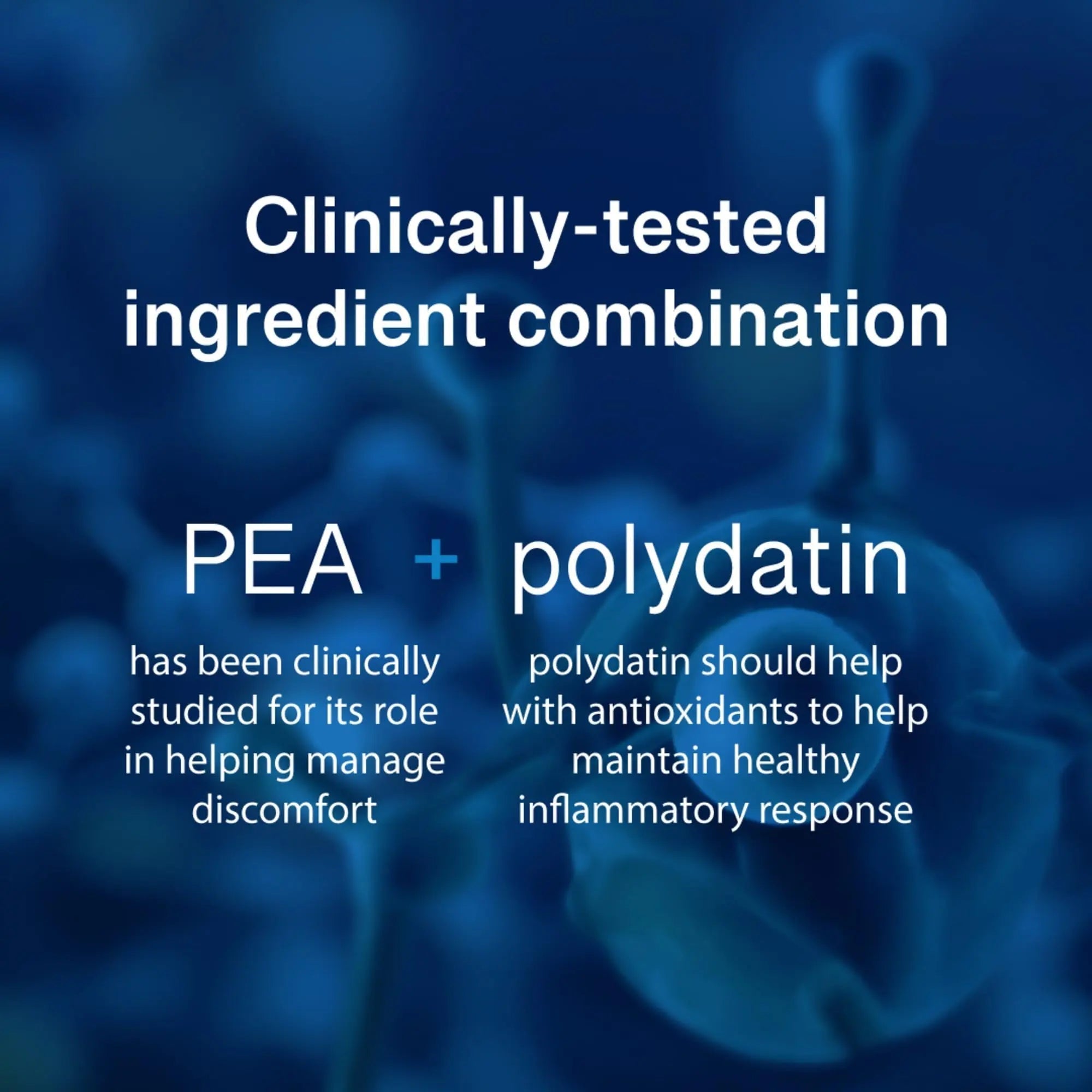 PEAlief Pea + Polydatin – New Bladder & Urinary Comfort Support with Clinically Tested Ingredient Combination — One Pill Per Day, 60 Day Supply PEAliefAu supplements