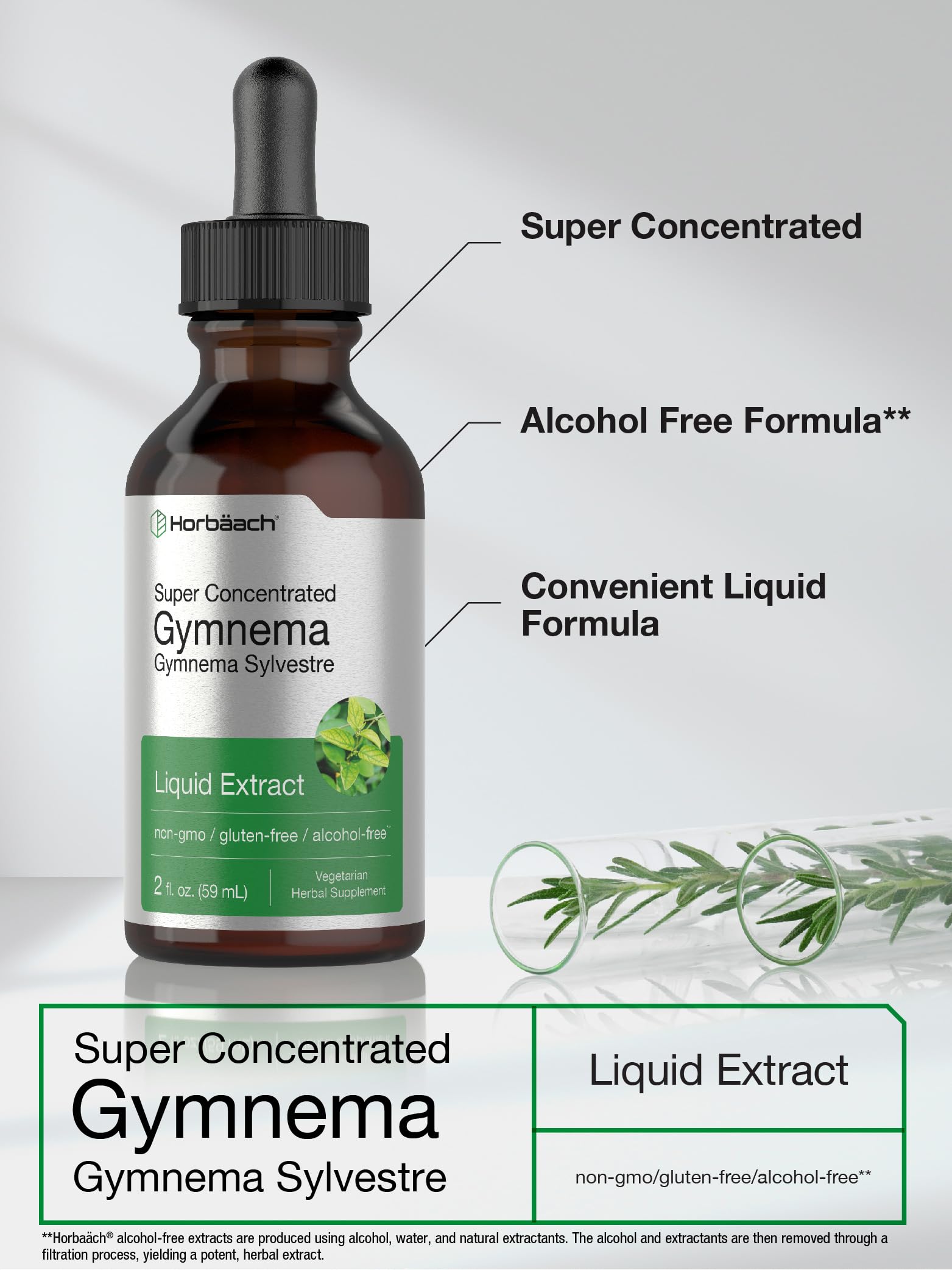 Gymnema Sylvestre Liquid | 2 fl oz | Alcohol Free Supplement | Super Concentrated HorbäachAu supplements