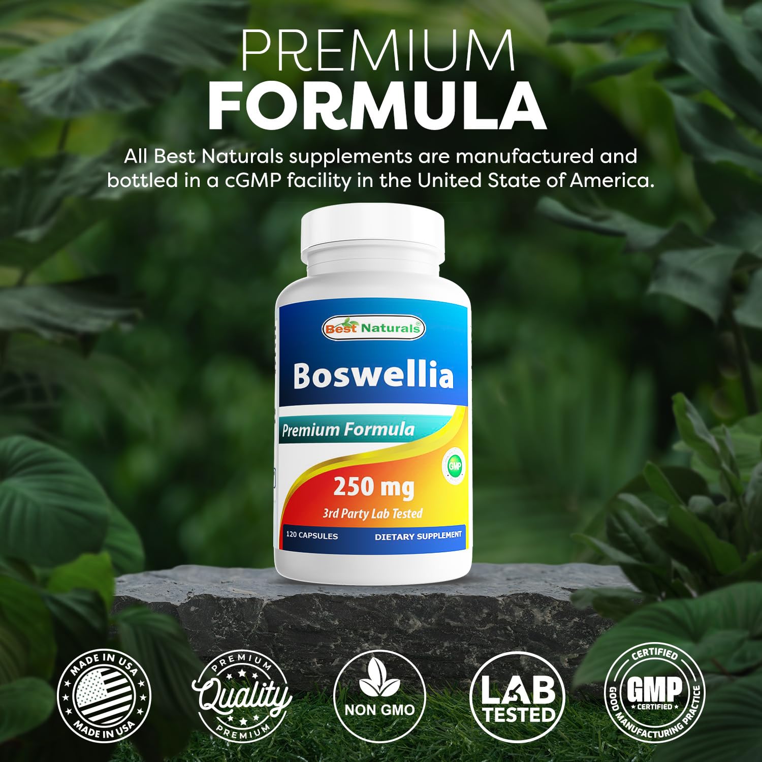 Best Naturals Boswellia Serrata Joint Health 250 mg 120 Capsules - Standardized to 65% Boswellic Acid (120 Count (Pack of 3)) Best NaturalsAu supplements