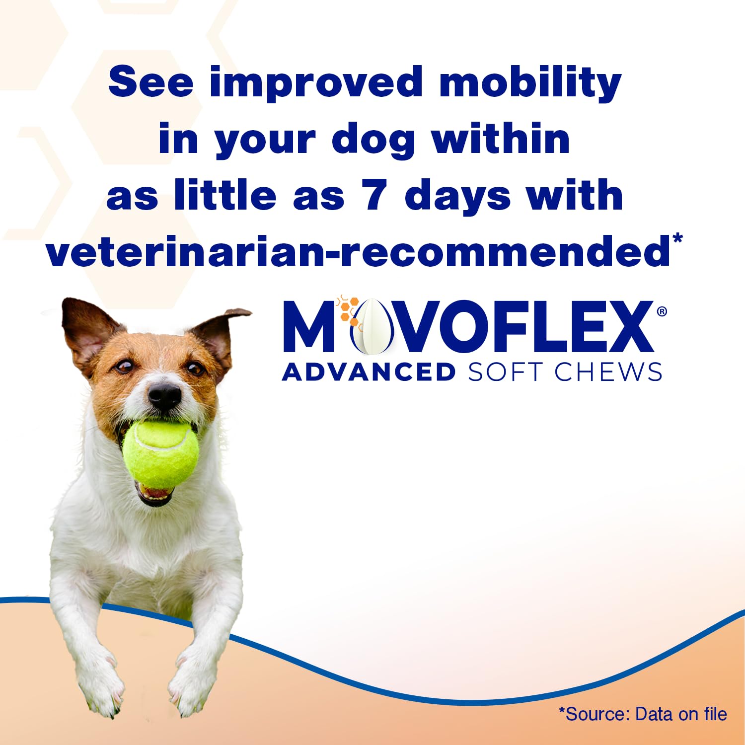 MOVOFLEX Advanced Soft Chews Hip Joint Support Supplement for Large Dogs 60 Count by Virbac MOVOFLEXAu supplements