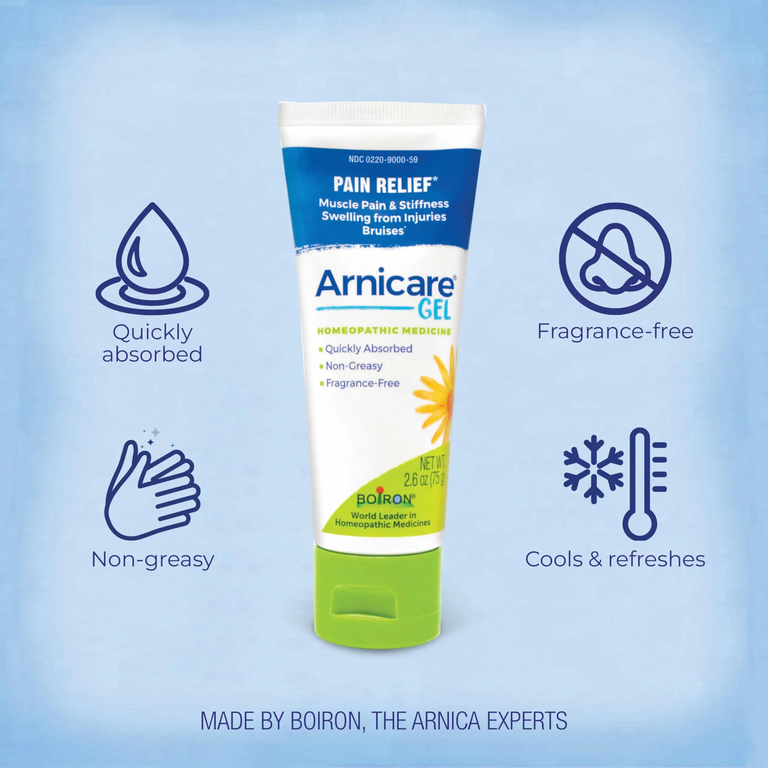 Boiron Arnicare Gel for Joint Pain, Muscle Pain, Swelling, Soreness, and Stiffness - Non-greasy and Fragrance-Free - 2.6 oz BoironAu supplements