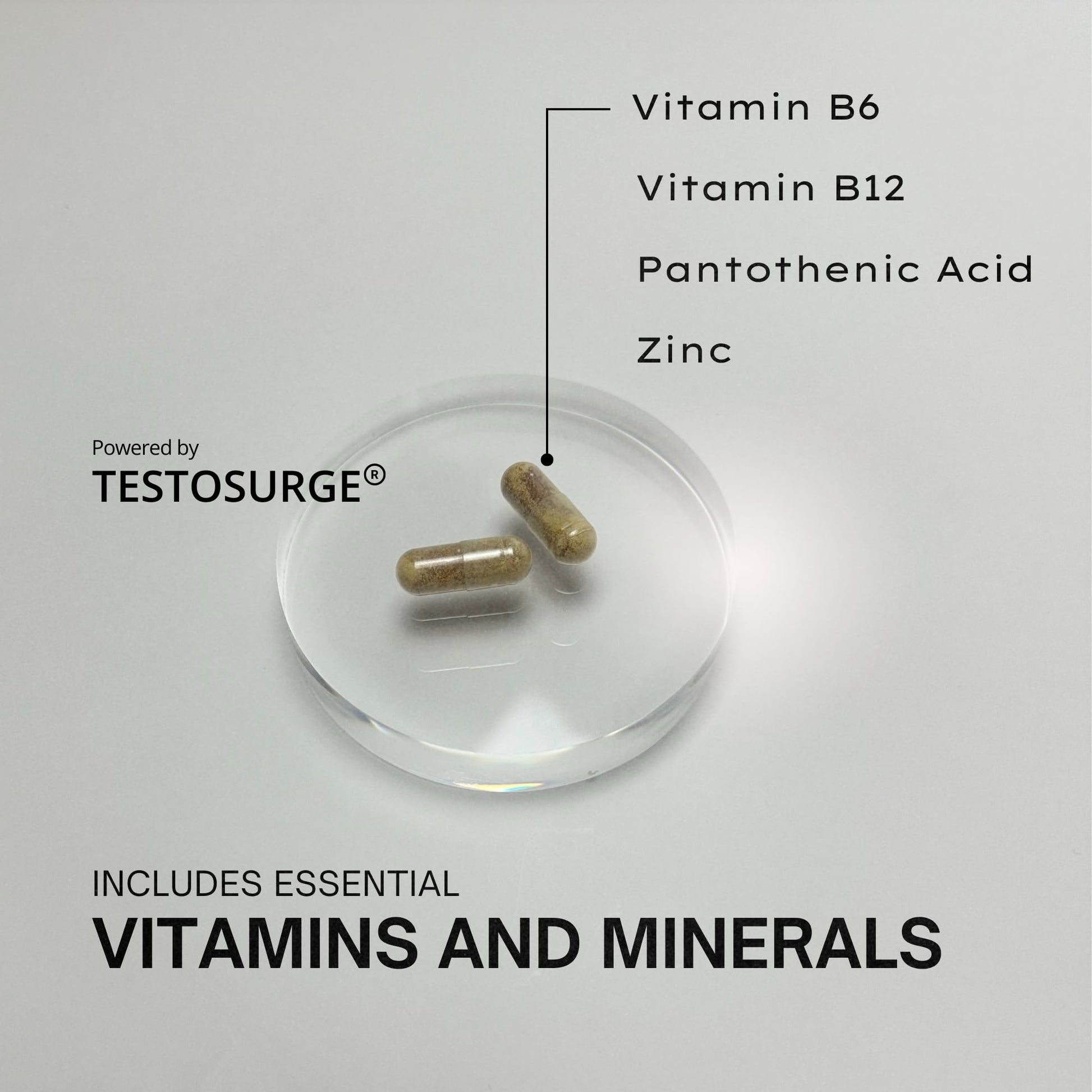 EPIC-T Testosterone Support Supplement for Men | Plant-Based Formula with Testosurge, B-Complex, B12, Zinc & Boron | Vegan, Non-GMO Daily Support EPICAu supplements