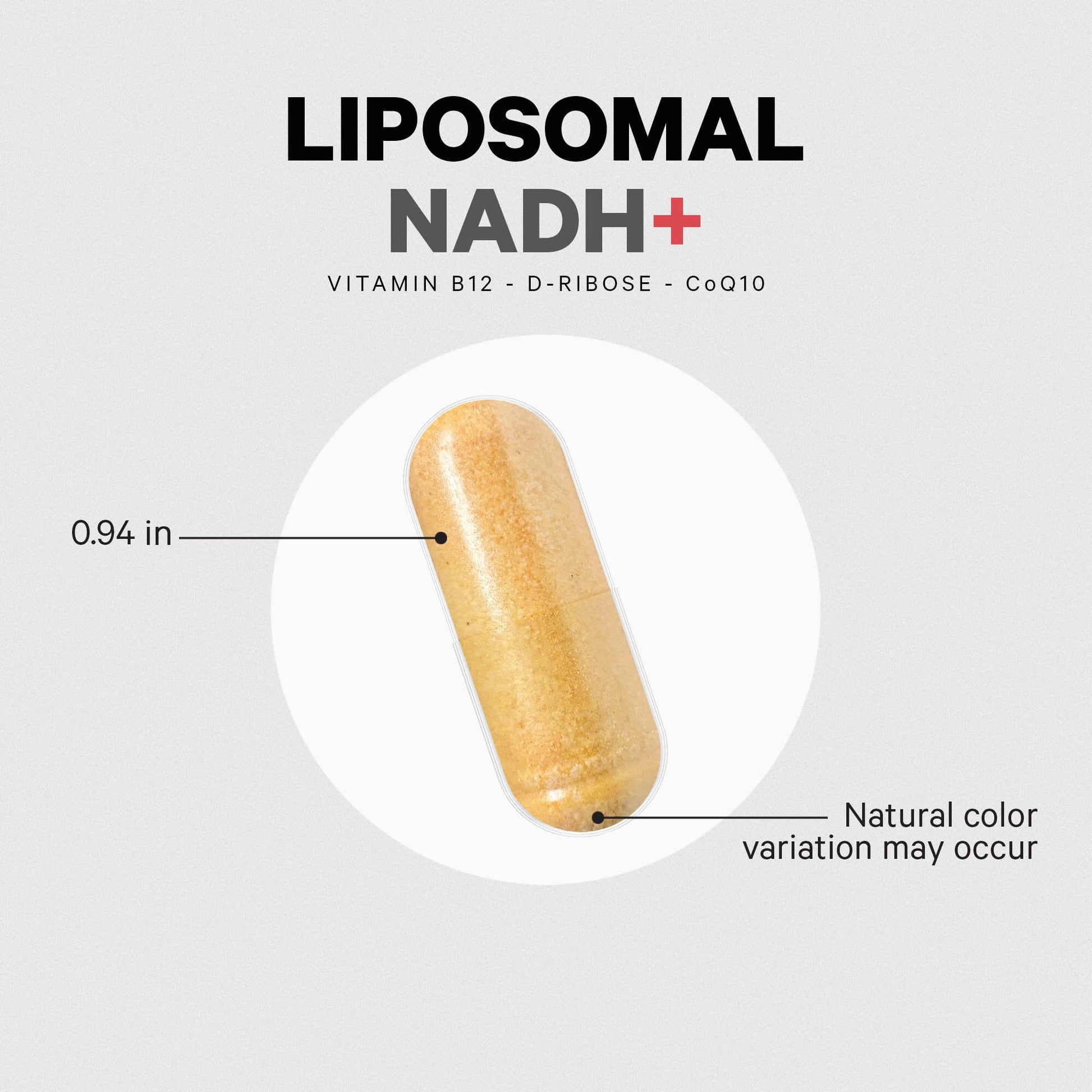 Codeage Liposomal NADH+ Supplement - NADH, Vitamin B12, D-Ribose as Bioenergy Ribose, CoQ10-2-Month Supply - Liposomal Delivery - β-Nicotinamide Adenine Dinucleotide Pills - Non-GMO - 60 Capsules CodeageAu supplements