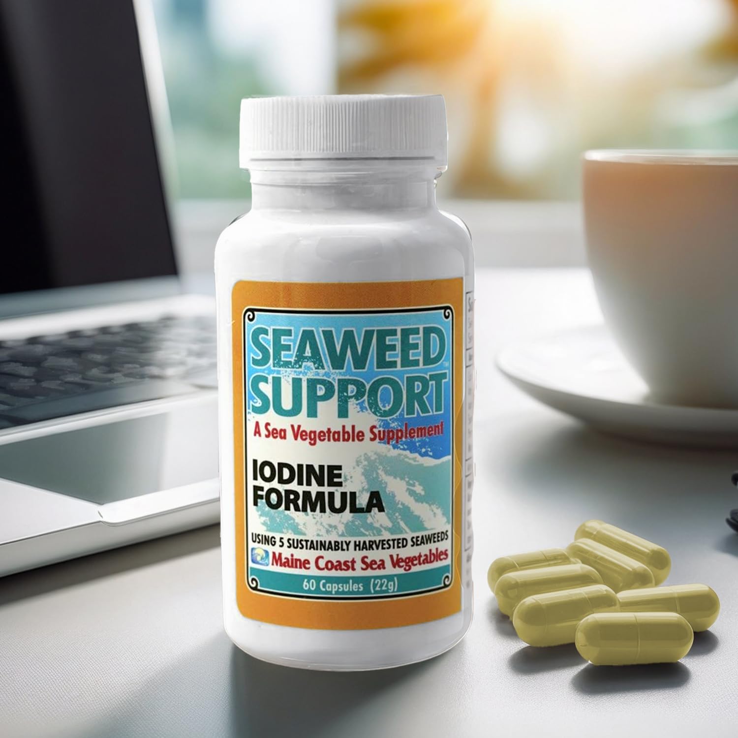Maine Coast Sea Vegetables Seaweed Support Iodine Formula | Source of Iodine from Seaweed | Daily Use Iodine Supplement | Organic Alaria, Rockweed, Sea Lettuce, Dulse & Bladderwrack blend | 60 Capsule Maine Coast Sea VegetablesAu supplements