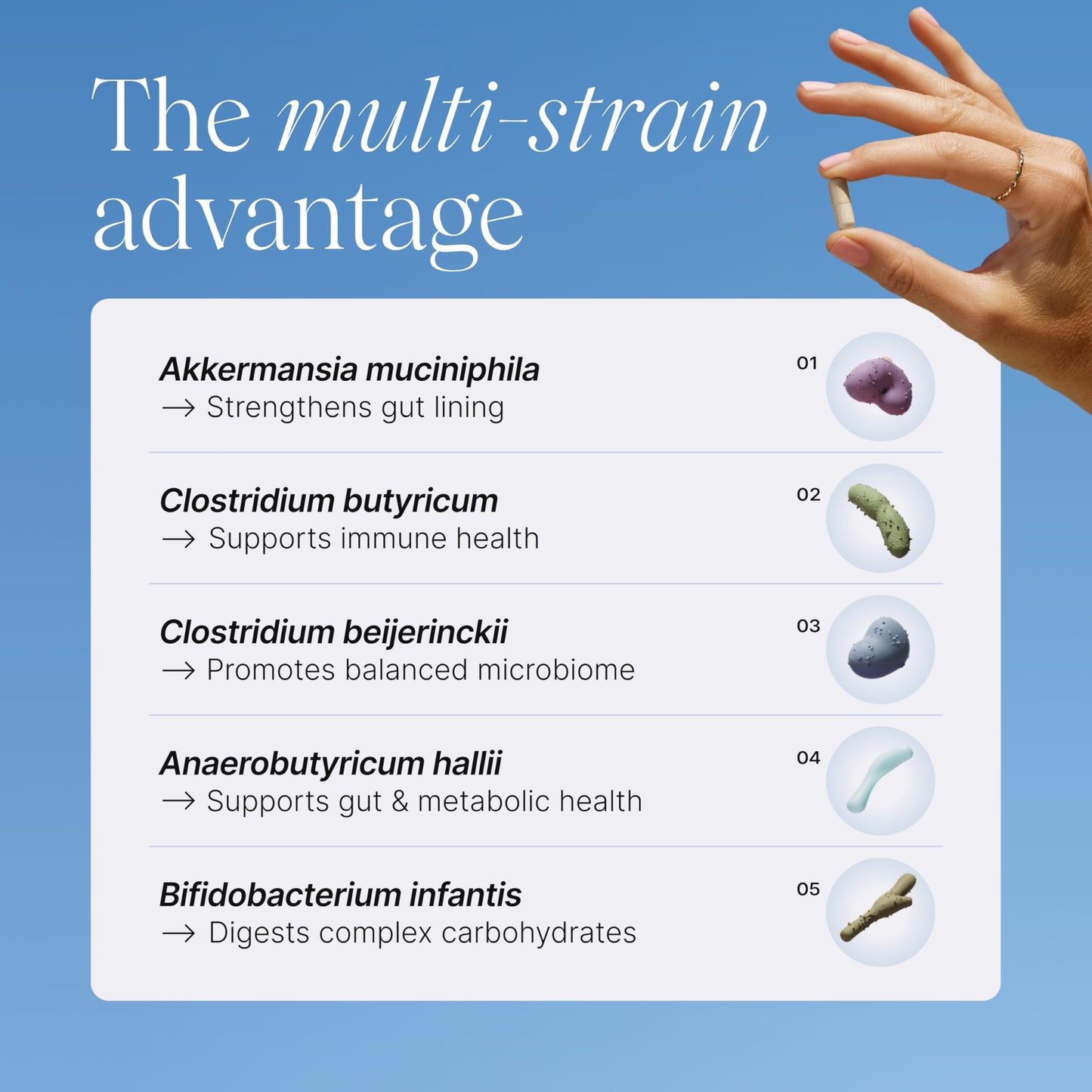 Pendulum Metabolic Daily - Multi-Strain Probiotic with Akkermansia muciniphila to Support Metabolism and Sustain Energy Levels PendulumUS supplements