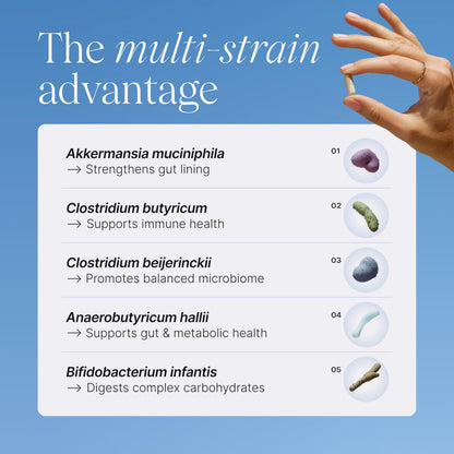 Pendulum Metabolic Daily - Multi-Strain Probiotic with Akkermansia muciniphila to Support Metabolism and Sustain Energy Levels PendulumUS supplements