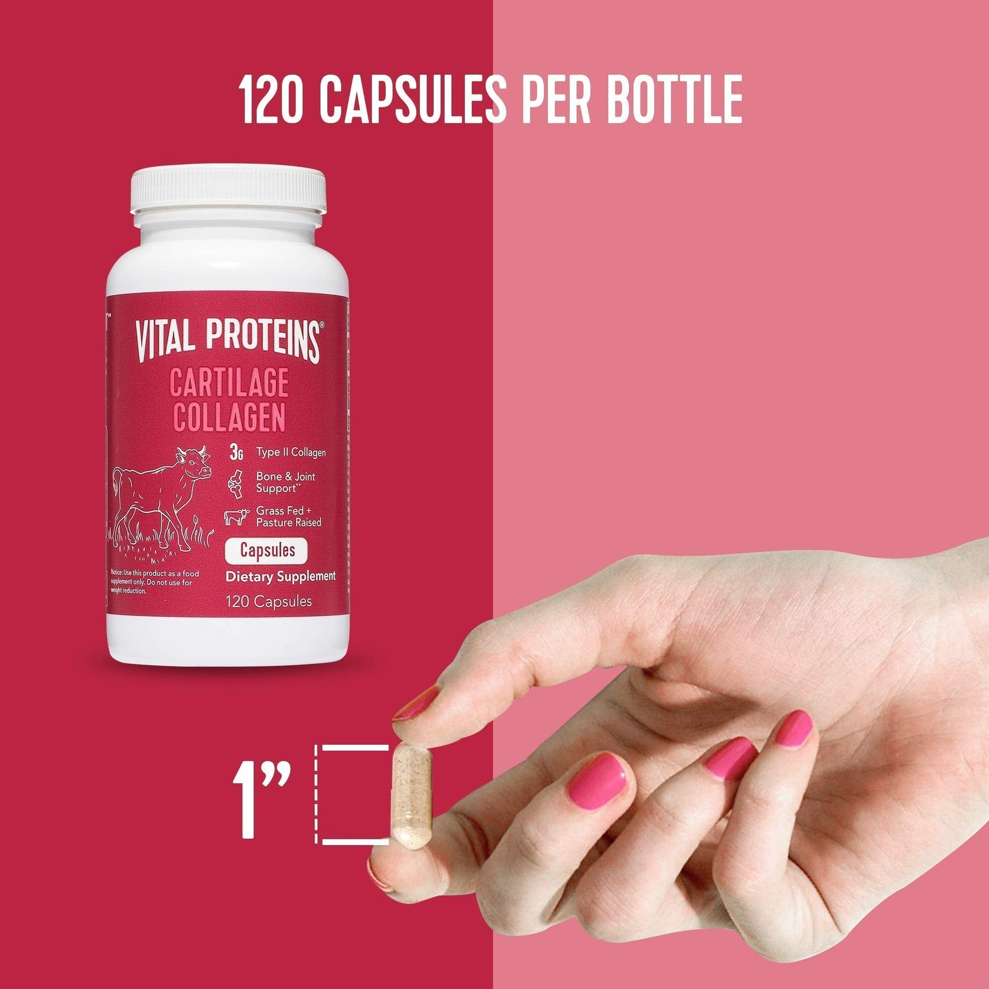Vital Proteins Collagen Peptides Powder 19.3oz+ Collagen Pills, Type II Vital ProteinsUS supplements