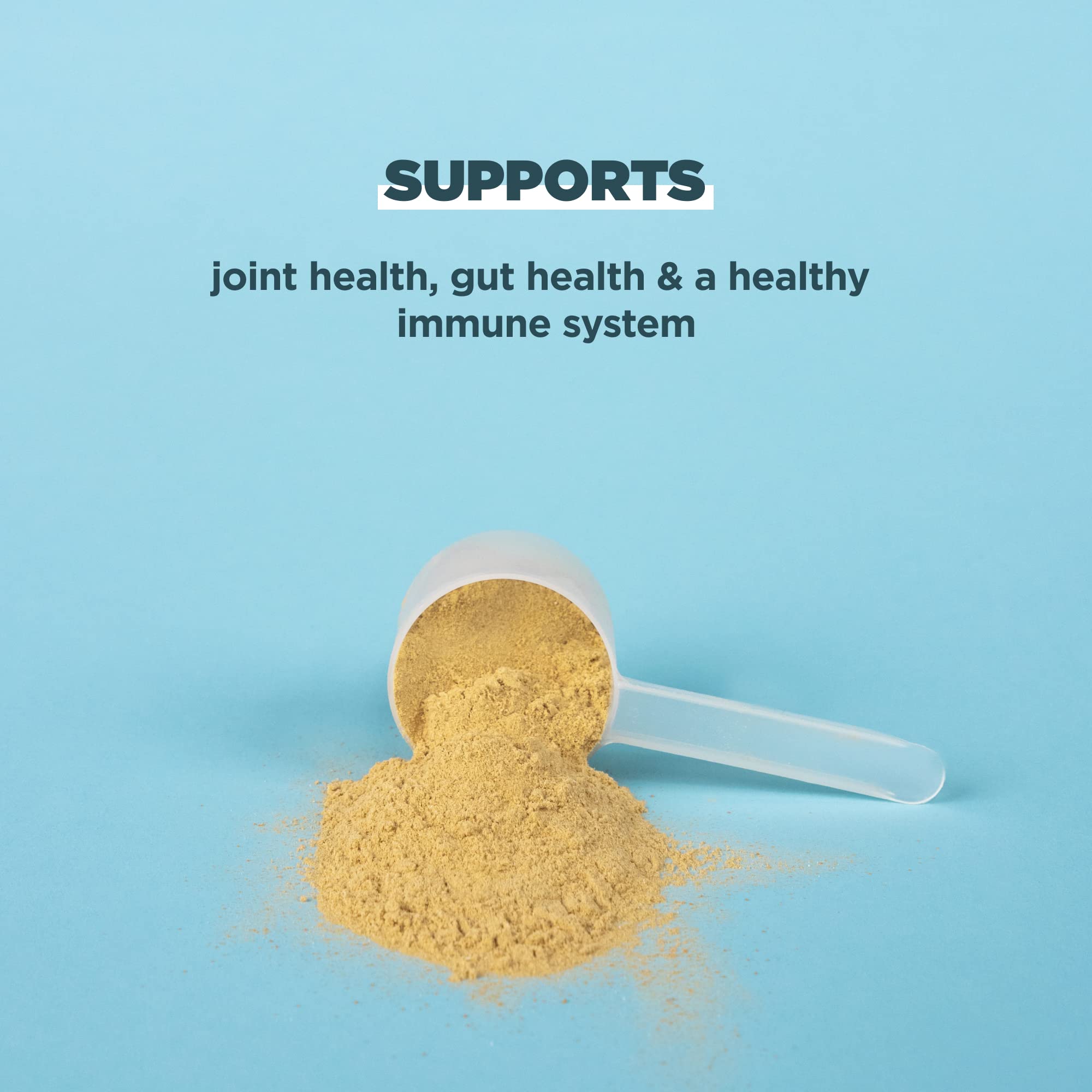 Ancient Nutrition Bone Broth Protein Powder, Pure Flavor, 20 Servings Size Ancient NutritionUS supplements