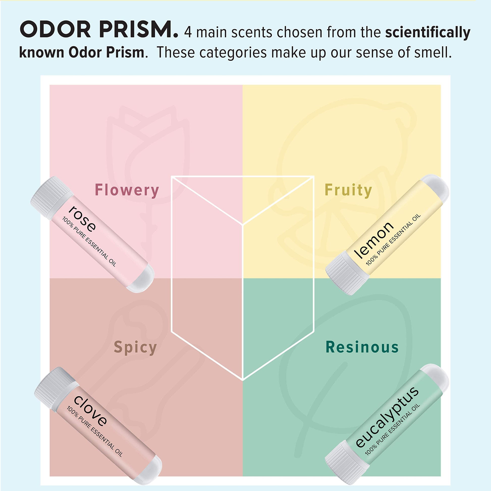MOXĒ Smell Training Kit, Made in USA, 4 Essential Oils, Olfactory Regeneration, Helps Restore Sense MOXEAu supplements