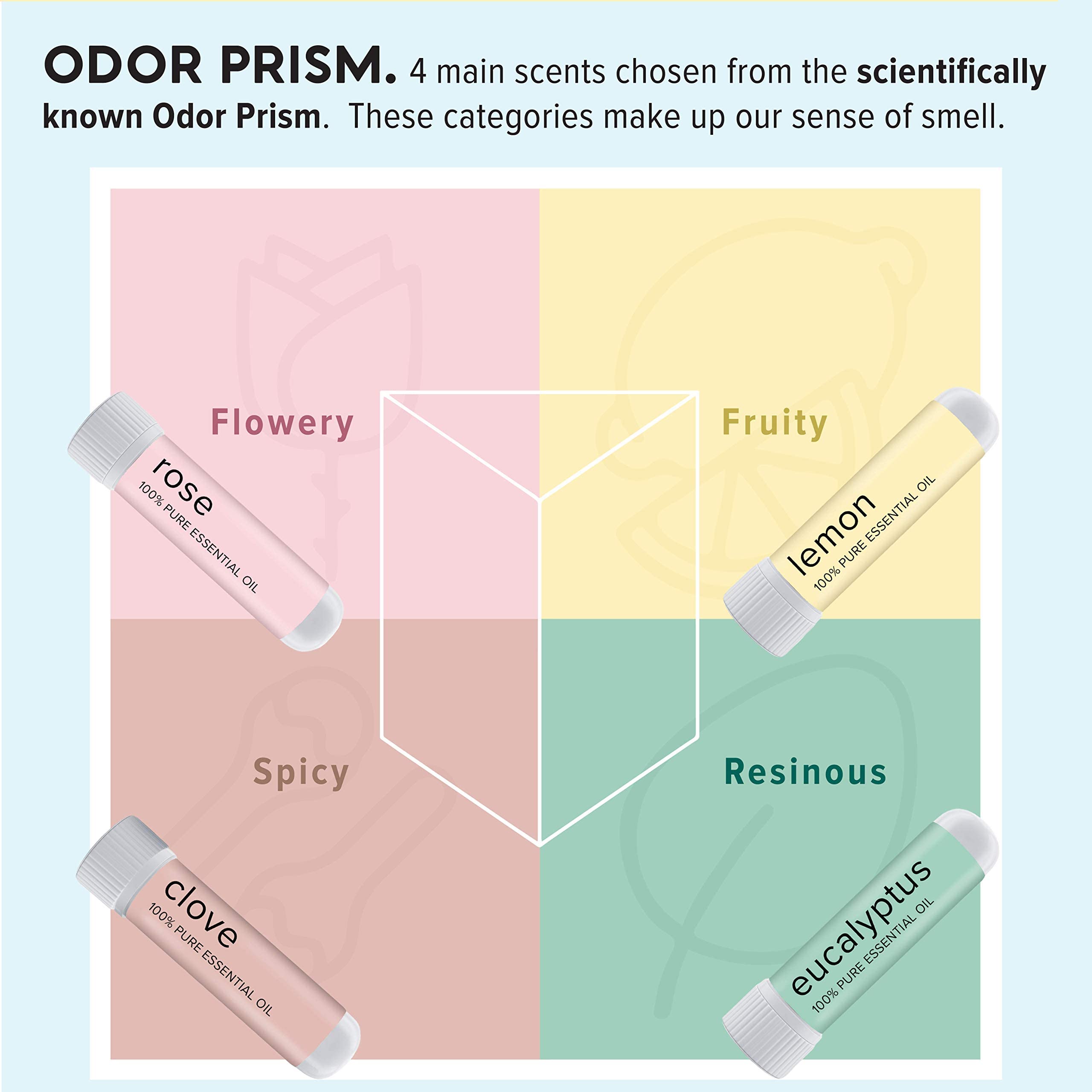 MOXĒ Smell Training Kit, Made in USA, 4 Essential Oils, Olfactory Regeneration, Helps Restore Sense MOXEAu supplements
