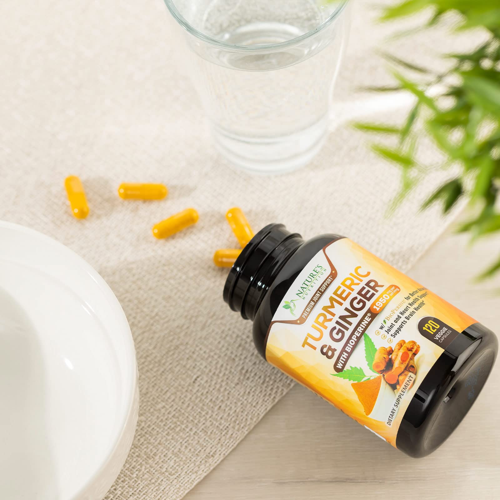 Turmeric Curcumin with BioPerine & Ginger 95% Standardized Curcuminoids Nature's NutritionUS supplements