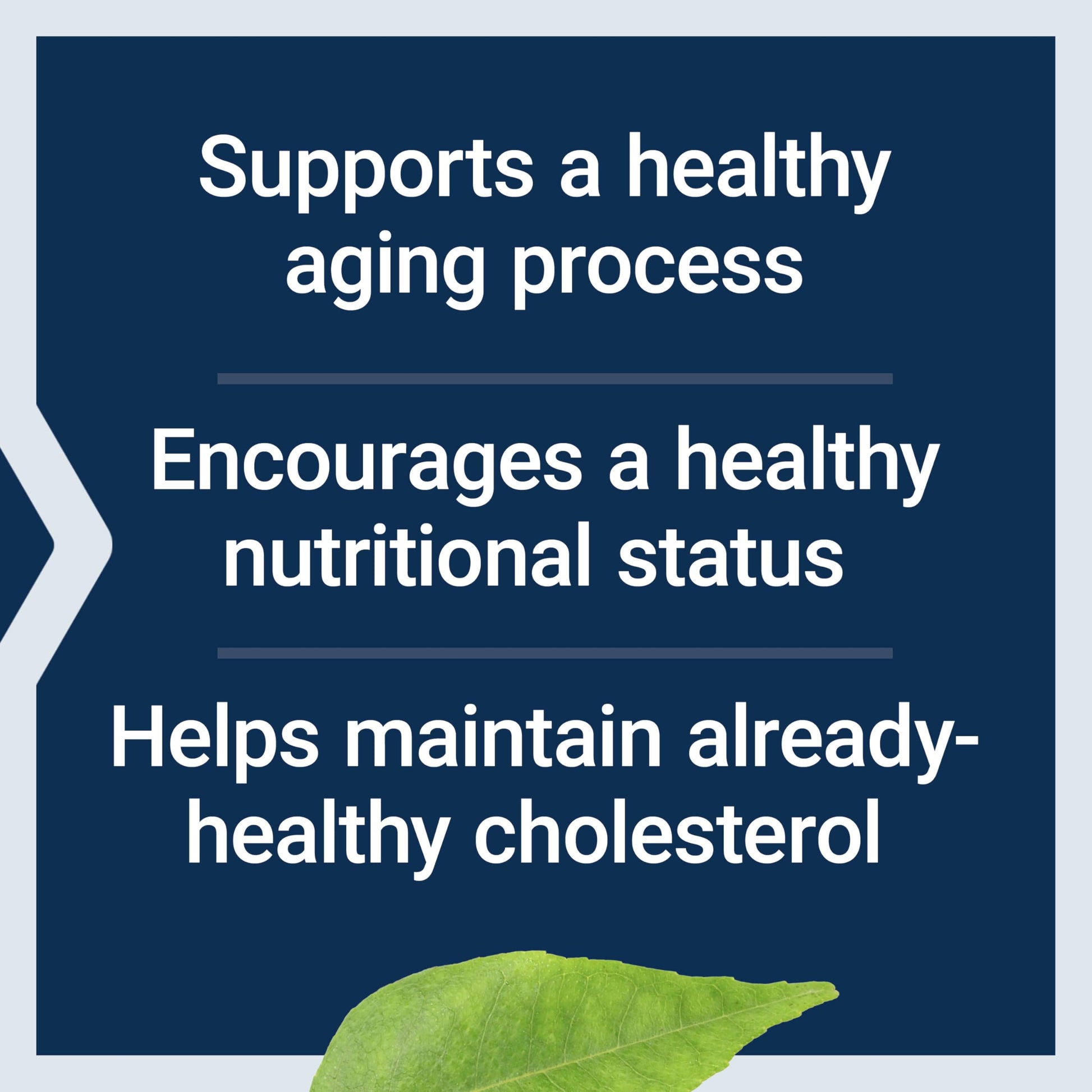 Life Extension FLORASSIST® Probiotic Youthful Gut, Healthy Aging Supplement, postbiotic and probiotic Blend, Heart and Gut Health, Non-GMO, 1-Daily, Gluten-Free, Vegetarian, 30 Capsules Life ExtensionAu supplements
