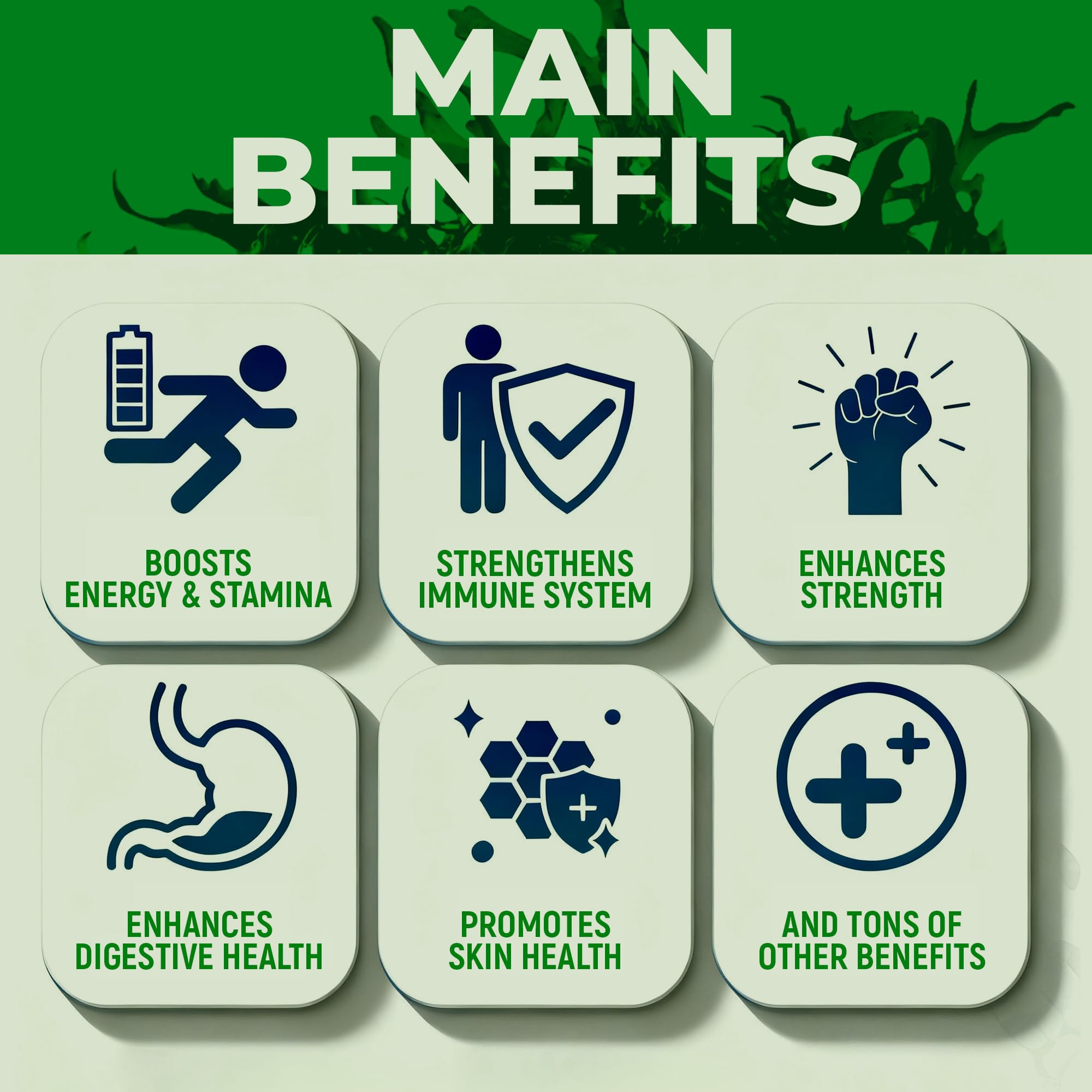 Sea Moss Black Seed Oil Ashwagandha Ginger - Advanced Irish Sea Moss Capsules All in One Supplement with Seamoss Black Seed Oil Ashwagandha Burdock Root Bladderwrack - Pills for Energy, Immune, Gut Opti HealthAu supplements